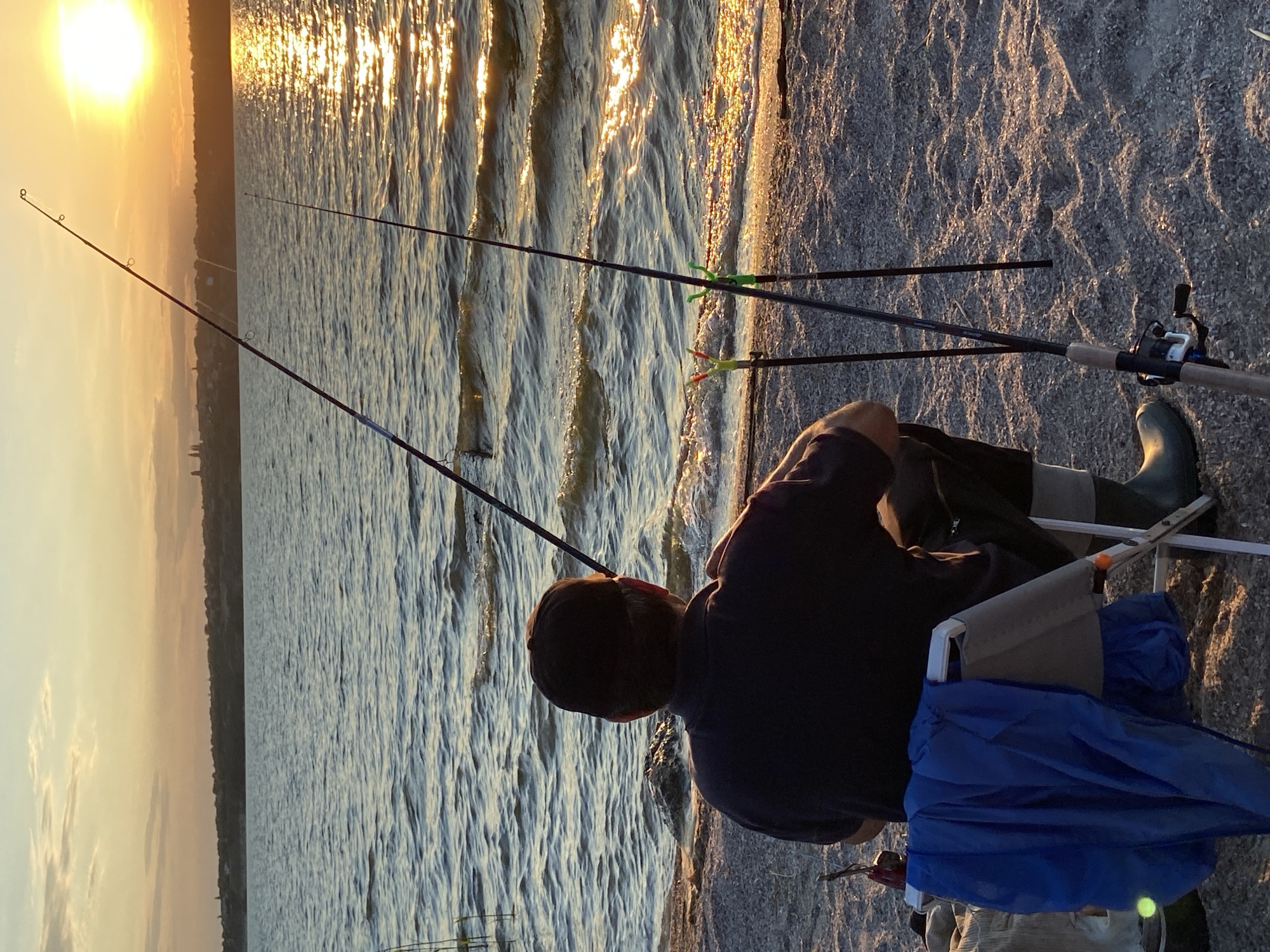 The image captures a person fishing by a body of water during sunset. The sun is low in the sky, casting a warm, golden glow on the rippling water and the sandy shore. Several fishing rods are set up, their lines extending into the water. One person, viewed from behind, is seated on a chair, facing the water and holding a fishing rod. They are wearing a dark shirt and a cap. A blue umbrella is draped over the chair. The scene suggests a peaceful and solitary activity, possibly a relaxing evening spent fishing. The time of day is clearly sunset, indicated by the low sun and the warm lighting. The weather appears calm, with gentle waves on the water. The location is a shoreline, likely a lake or a large river, given the expanse of water and the sandy bank. There is no visible text in the image.