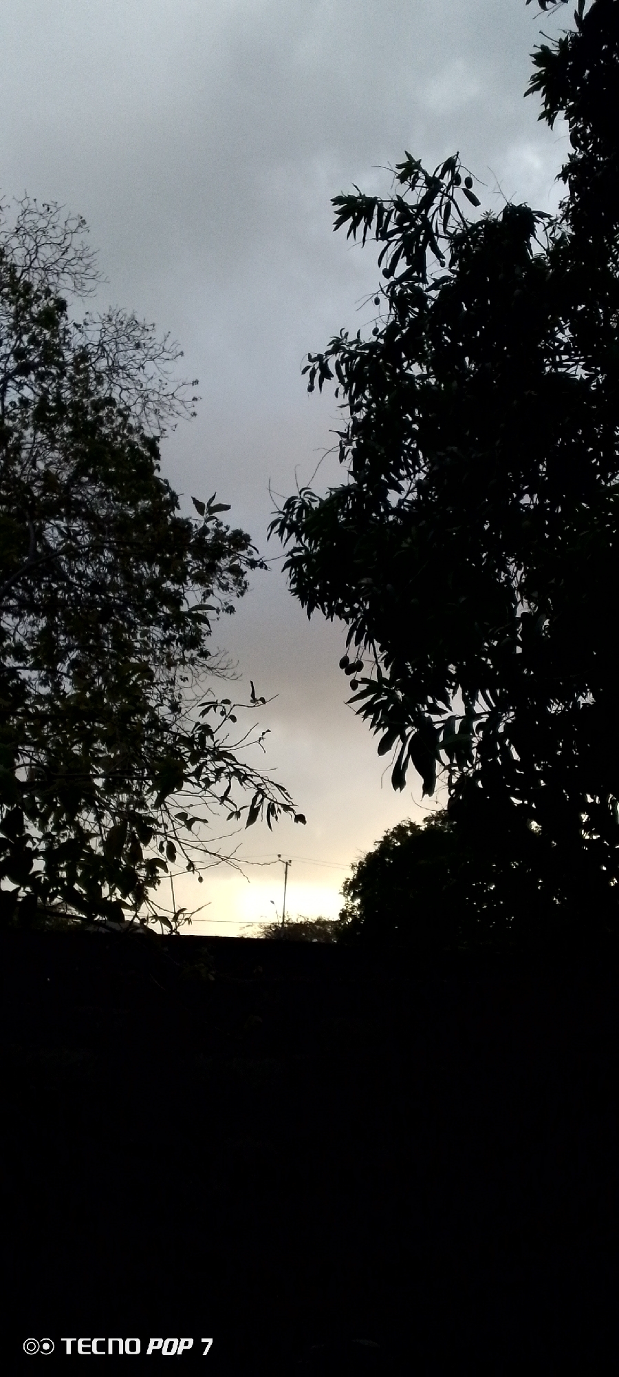 The image captures a serene outdoor scene, primarily featuring the silhouettes of two large trees against a cloudy sky, suggesting either dawn or dusk. The sky is largely overcast with heavy, dark gray clouds across the upper portion of the frame. Towards the lower center, a brighter, yellowish-white glow breaks through, indicating the position of the sun, possibly rising or setting, or a brief opening in the cloud cover.
On the left side, a tree with a more open canopy and visible branches is silhouetted, appearing somewhat bare or having finer foliage. On the right, a dense, leafy tree dominates, with small, roundish fruits, consistent with mangoes, faintly visible hanging from its branches. These trees frame the bright area of the sky.
In the lower mid-ground, beneath the bright sky, a thin, vertical structure, possibly a utility pole, stands faintly. Below this, an indistinct dark horizontal line suggests a distant fence, wall, or the natural horizon. The immediate foreground is completely dark, obscuring any ground features.
The overall atmosphere is quiet and contemplative, emphasized by the dramatic contrast between the dark tree silhouettes and the luminous sky. The image bears a "TECNO POP 7" watermark in the bottom left corner. The natural landscape is characteristic of a tropical or subtropical region such as Altagracia, Venezuela. No people or specific events are depicted.