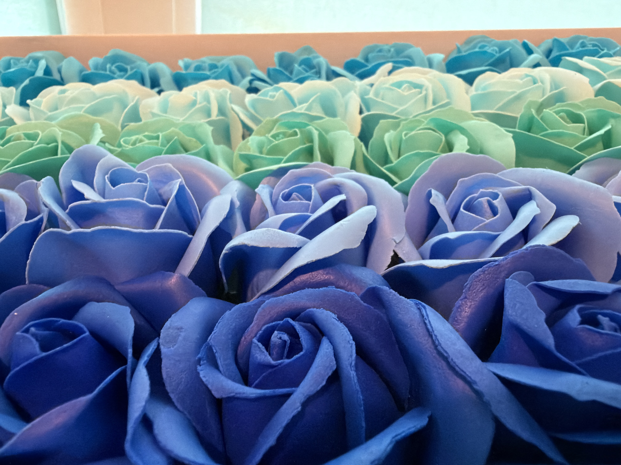 The image presents a close-up, slightly elevated perspective of numerous artificial roses arranged in neat, densely packed rows. The colors of the roses create a striking gradient, transitioning from deep, vibrant blue in the immediate foreground, through lighter shades of blue and pastel lavender, into soft greens and light teals in the middle rows, and culminating in brighter blue and turquoise tones towards the background. Each rose is intricately designed with layered petals, suggesting they are crafted from materials like soap, fabric, or paper, and exhibit a uniform, almost perfect bloom. The petals show subtle textural details, enhancing their realistic appearance.
The roses are likely contained within a box or display, indicated by a faint beige or light brown border visible across the top edge of the image. The lighting is soft and even, typical of an indoor environment, possibly under artificial light, as there are no distinct shadows to suggest a specific time of day or outdoor setting. No activity or event is taking place; the image captures a static, decorative arrangement. The overall impression is one of meticulous craftsmanship, beauty, and tranquility. No visible text is present in the image. While no specific location cues are visible within the frame, the provided context indicates the location is Noviy, Russia.