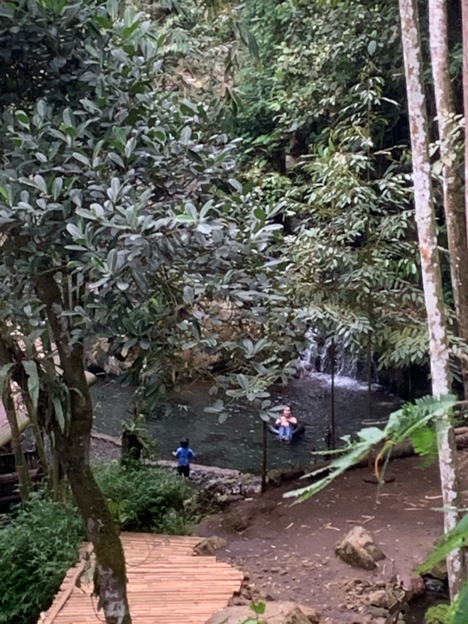 This photograph depicts a naturalistic outdoor scene that is likely located in Pronojiwo, Indonesia. The environment is characterized by lush, dense vegetation, including a large tree in the foreground with mossy bark and a pathway constructed of bamboo in the lower left quadrant of the image. A body of water, appearing to be a river or pond with a small waterfall, is visible in the background.
Two individuals are present in the scene. In the water, a person is seated on an inflatable tube, appearing to be resting or enjoying the water. Further upstream, a child, wearing a blue shirt and dark pants, is standing near the edge of the water. The ground surrounding the water appears to be a mix of mud and rocks. The overall impression is that of a tranquil, natural setting with recreational activities taking place.