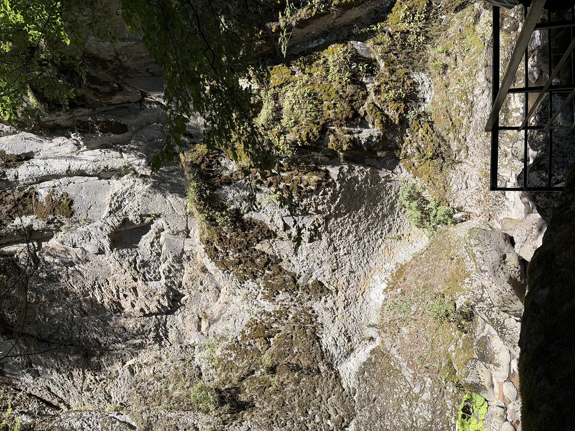 The image captures a rugged, moss-covered cliff face in the city of Devin, Bulgaria, likely within the Devin Gorge. Sunlight casts dramatic shadows across the textured rock, highlighting crevices and mineral deposits. Green moss and small plants cling to the rock surfaces, particularly in shaded areas. In the lower right portion of the image, a dark metal railing is visible, suggesting a viewing platform or walkway. Below the railing and to the left, large, rounded rocks are present, some partially submerged in a shallow body of water, possibly a stream or river. The overall scene depicts a natural, somewhat wild environment with evidence of human infrastructure in the form of the railing.