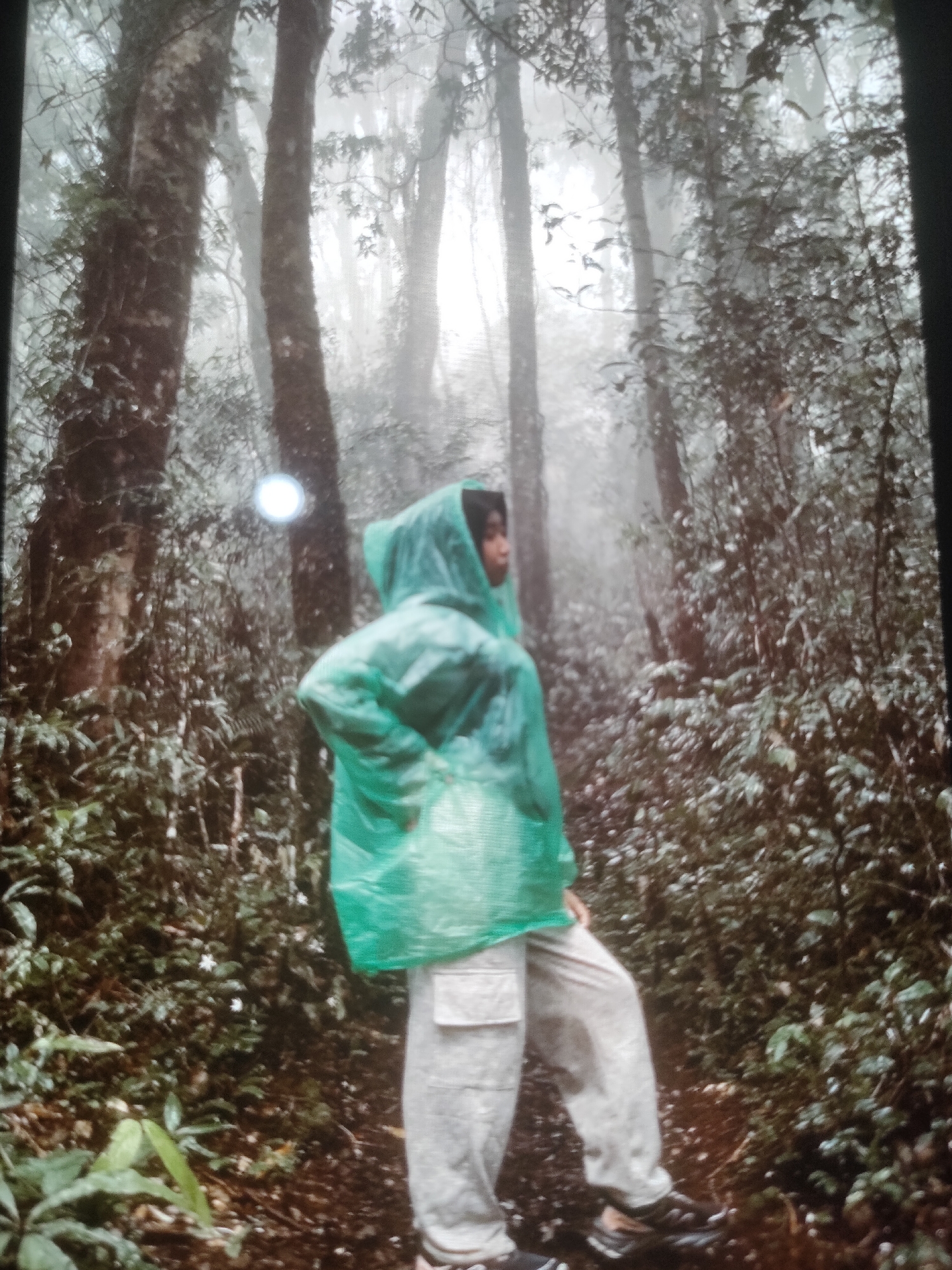 A person, wearing a bright green poncho and light-colored pants, stands facing away from the camera in a misty forest. The forest floor is covered in dark soil and some green foliage. Tall, slender trees with dark bark dominate the background, with dense green leaves and branches obscuring much of the view. The atmosphere is hazy, suggesting a damp or foggy environment. The person's posture is relaxed, with their weight shifted to one leg. The overall scene depicts a solitary individual exploring a lush, verdant, and somewhat mysterious natural setting. The location of Padang Dalom, Indonesia, is not explicitly visible in the image.