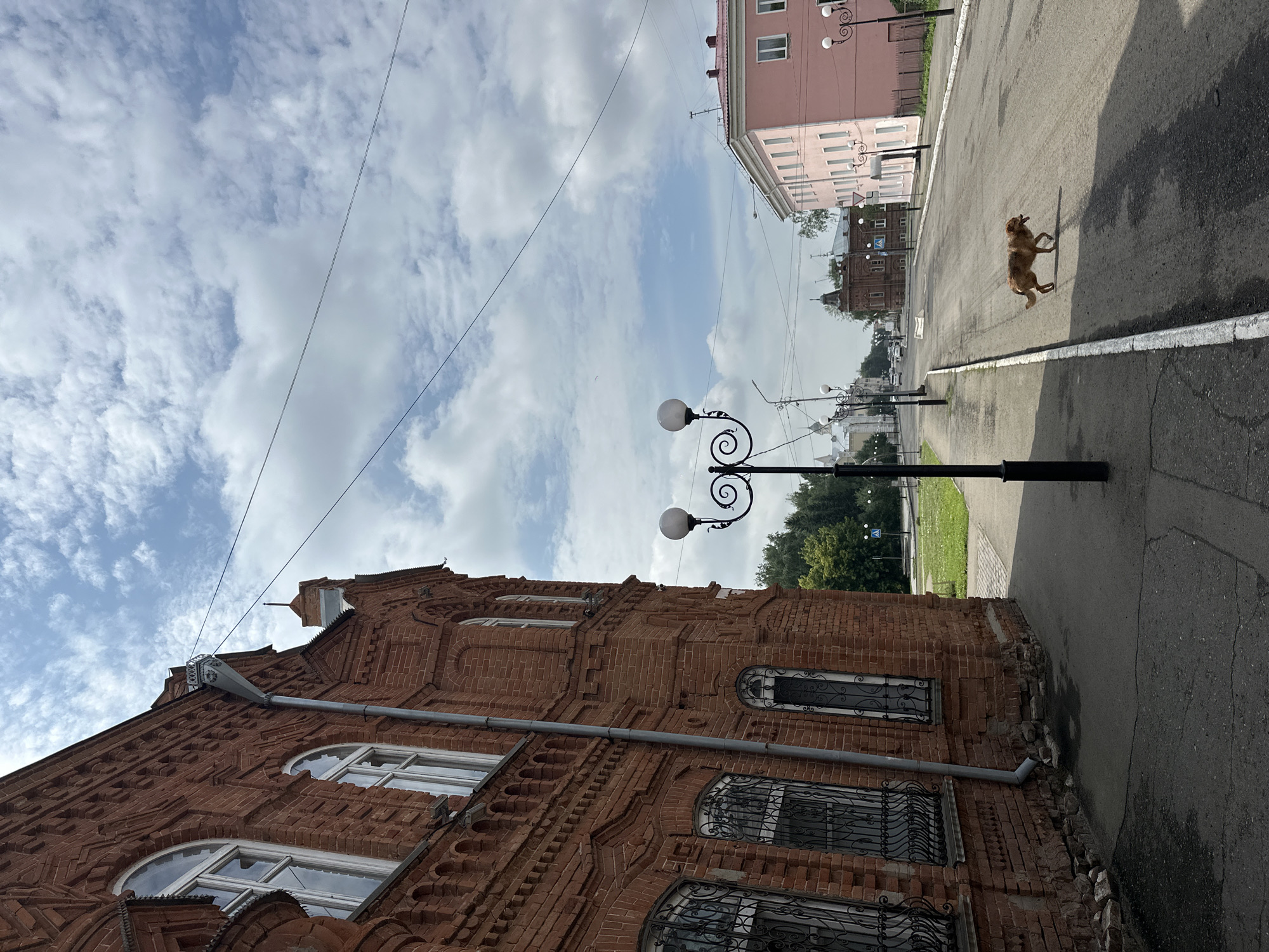 The image depicts a street scene in Nogornyi, Russia, with a focus on the left side of a red brick building and the street extending into the distance. The building on the left features arched windows with decorative grilles and intricate brickwork, suggesting an older architectural style. A downspout is visible along the side of the building.
A street lamp with two globes stands prominently on the sidewalk in the foreground. The street itself is paved with asphalt and has white painted lines along the curbs. A medium-sized brown dog is crossing the street from right to left, its tongue lolling out. In the background, other buildings are visible, including a light pink building on the right side of the street. Trees line the sides of the road in the distance, and the sky is partly cloudy. Power lines are strung across the upper portion of the image. The overall impression is of a quiet, ordinary day on a street in a Russian town.