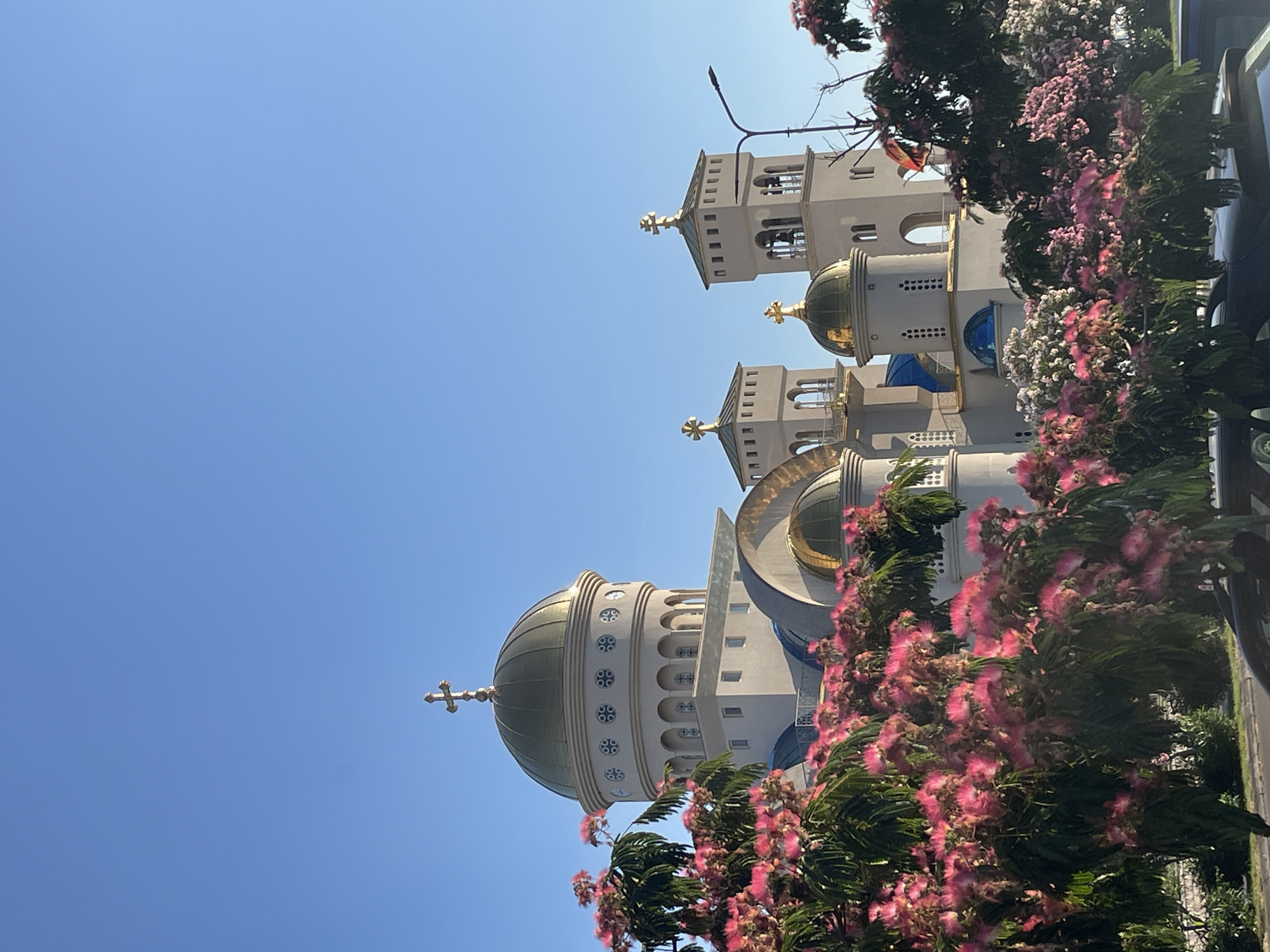 The image depicts a bright, sunny day with a clear blue sky. The main subject is a white church with several golden domes and crosses. The architecture is intricate, with arched windows and decorative elements on the facade. The church is partially obscured by a lush green tree adorned with abundant pink, fluffy flowers. These flowers, likely from a Mimosa tree, create a vibrant contrast against the white of the church and the blue of the sky. In the background, another church tower is visible, also topped with a golden cross. The perspective suggests the photo was taken from a low angle, looking up at the church and the tree. There are no people visible in the image. The overall impression is one of beauty and serenity, with the blooming tree adding a touch of natural splendor to the religious structure. The presence of a street light and what appears to be a car on the right edge of the frame suggest an urban or semi-urban setting. Given the location context of Bar, Montenegro, this could be a church within the city.