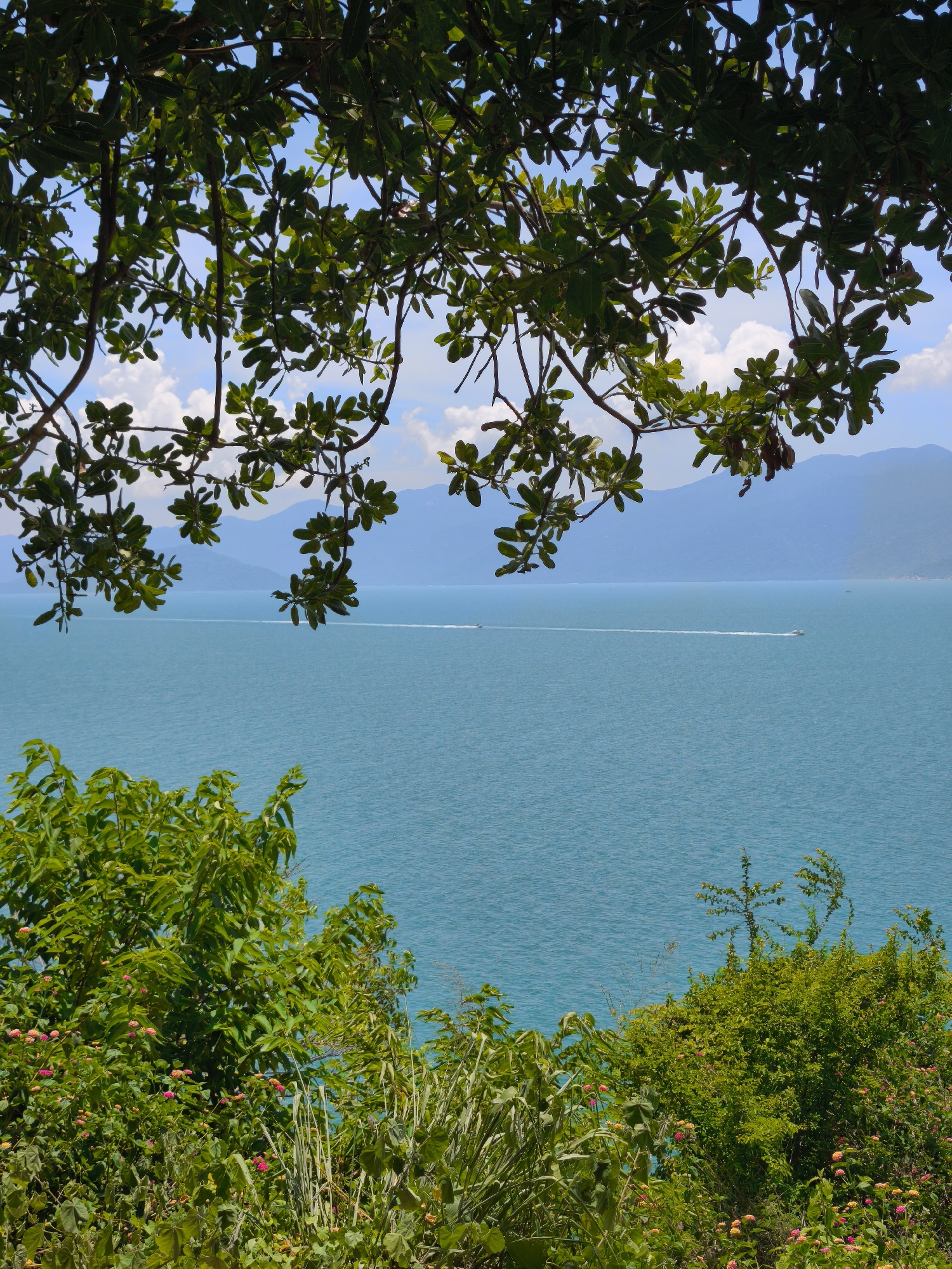 The image depicts a scenic view of the sea with lush greenery in the foreground and mountains in the background. A bright blue sky with scattered white clouds complements the tranquil ocean. The branches of a large tree with dark green leaves hang into the frame from the top, partially obscuring the view. The sea is a vibrant turquoise color, with two small boats leaving white trails on the water's surface. In the lower part of the image, dense green foliage with small pink and orange flowers fills the lower third of the frame. The scene appears to be taken from an elevated position overlooking the coastline. The location is identified as Ward, Bac Nha Trang, Vietnam.