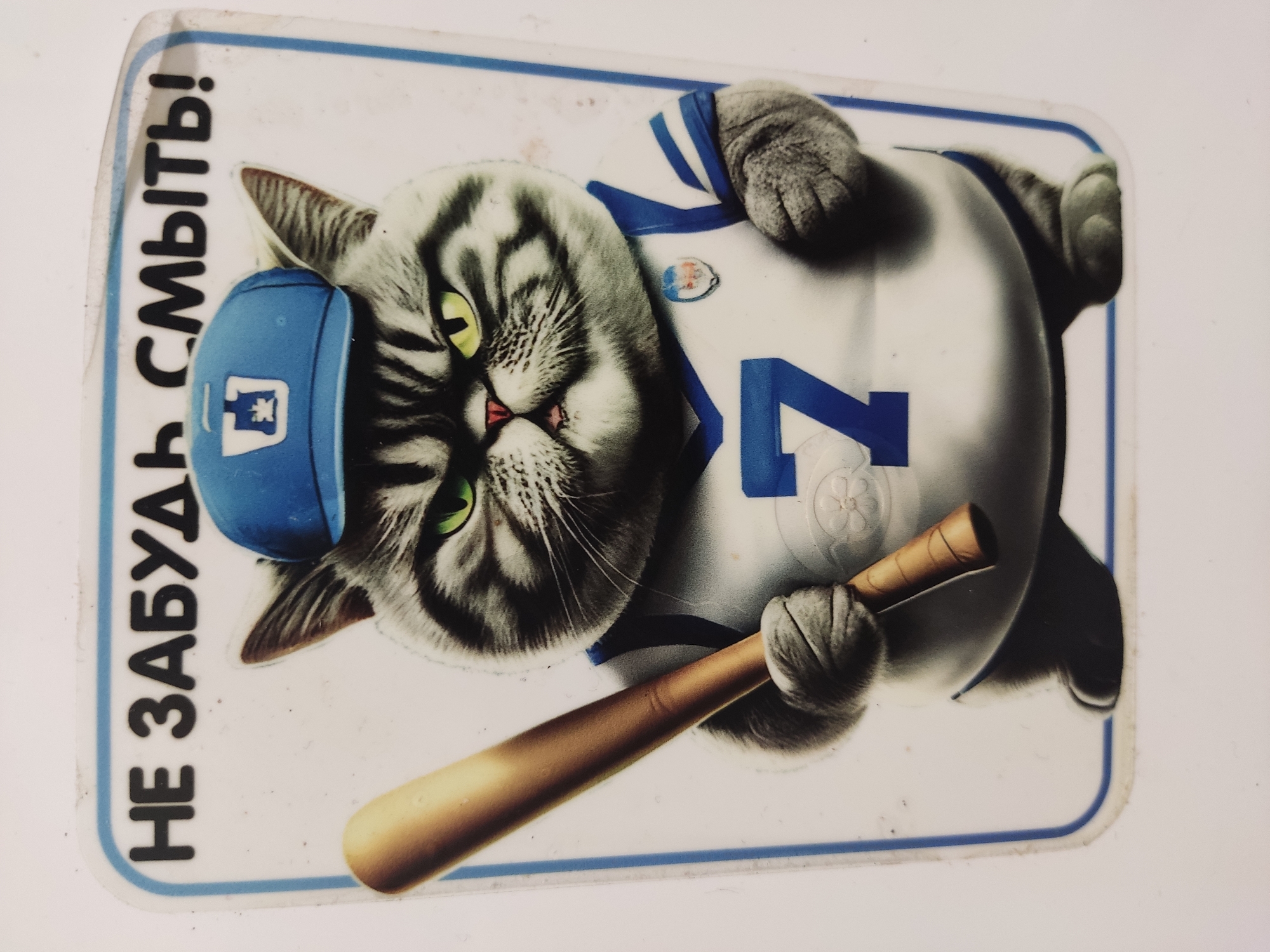 The image is a close-up photograph of a sticker featuring a cartoon cat wearing a blue baseball cap and a white jersey with blue stripes and the number '7'. The cat is holding a baseball bat. Above the cat, in Russian text, reads "НЕ ЗАБУДЬ СМЫТЬ!", which translates to "Don't forget to wash!". The sticker has a white background with a blue border. There is no visible indication of the location in Noginsk, Russia.