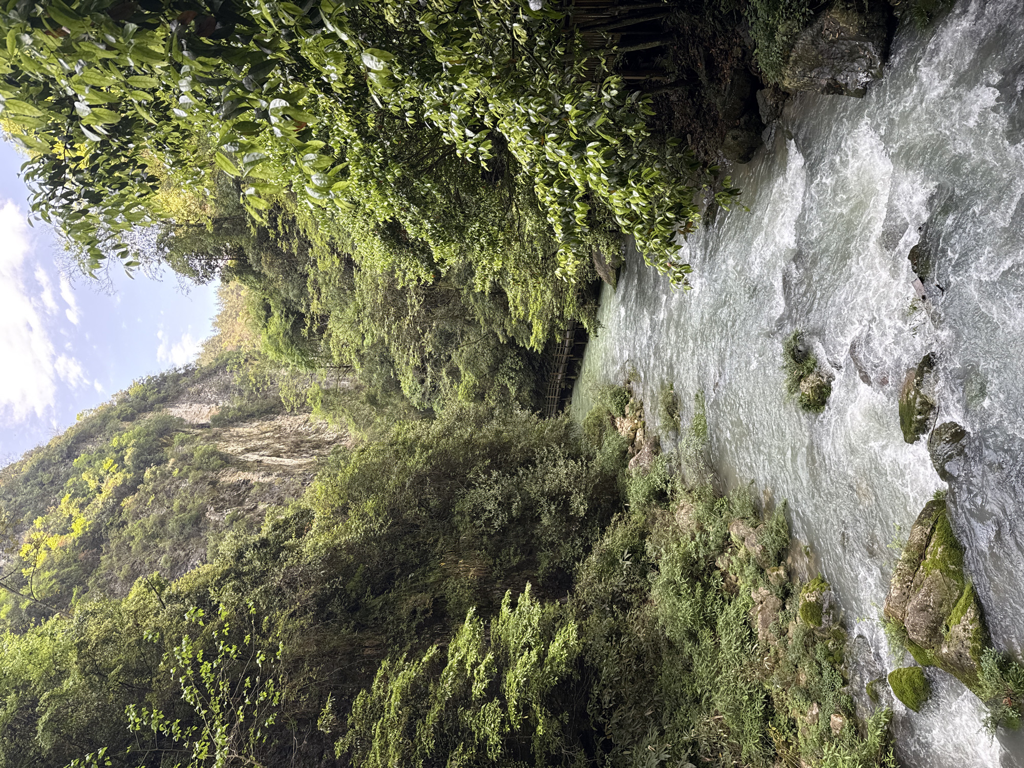 A rushing river cuts through a lush, forested canyon. The water is turbulent and white-grey, suggesting a strong current. Dense vegetation lines the riverbanks and covers the canyon walls. The scene evokes a sense of natural beauty and power, consistent with a location like 张家界市, China.