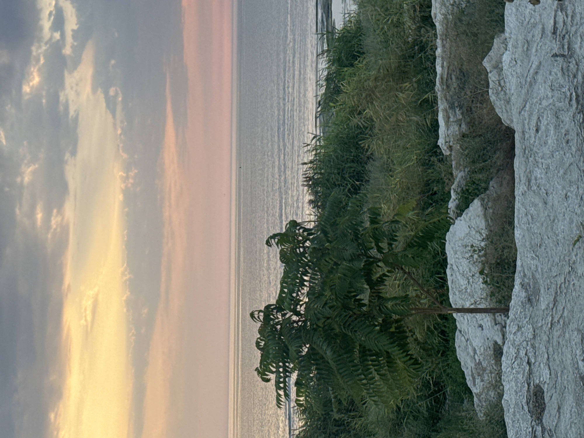 The image shows a serene natural landscape with a body of water, likely the Caspian Sea, in the background under a soft, cloudy sky. In the foreground, there are large, light-colored rocks and dense green foliage, including a small tree. The overall atmosphere is peaceful, possibly at dusk given the muted colors of the sky. This scene is consistent with coastal areas found in Aktau, Kazakhstan, known for its coastline along the Caspian Sea.