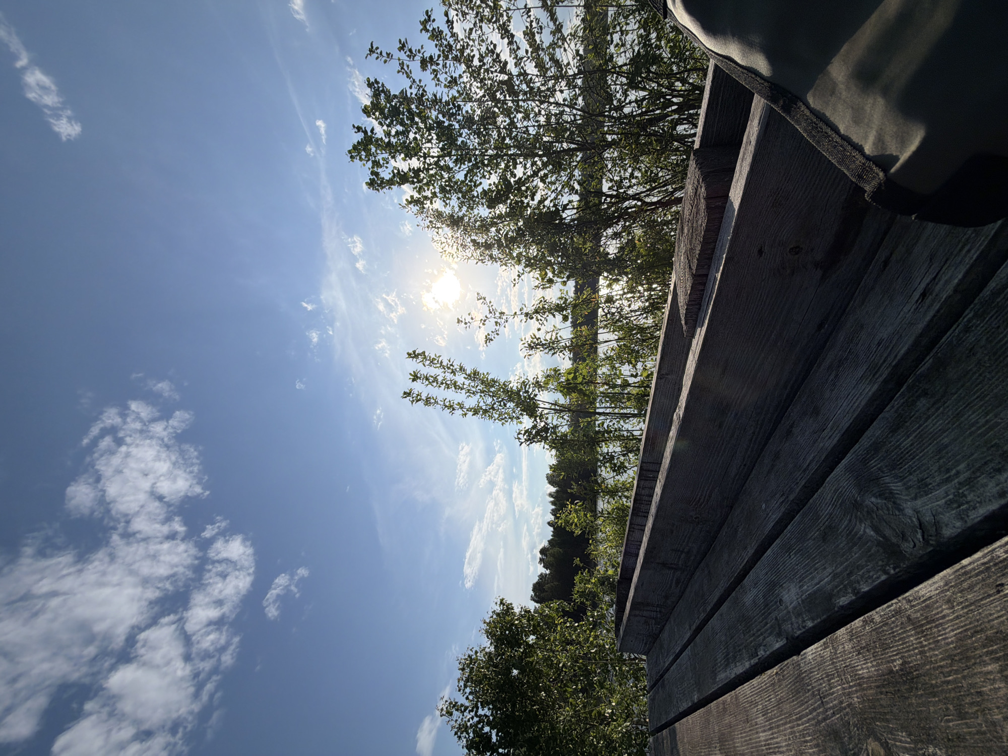 The image depicts a view from a wooden structure, possibly a deck or platform, oriented upwards towards a bright blue sky dotted with scattered white clouds. The sun is visible through the branches of trees, creating a lens flare effect. The trees themselves appear to be a mix of deciduous and coniferous types, with green foliage. Some sort of fabric is present on the upper right of the image, most likely a bag. The location is Selychka, Russia.