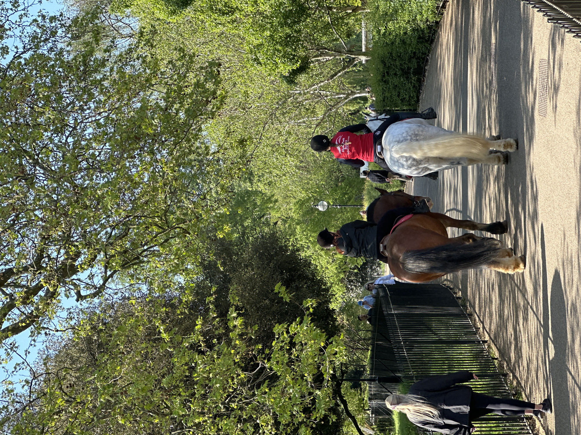 This image depicts a serene outdoor scene, likely a park, on a bright and sunny day. Two individuals are visible from behind, riding horses along a paved path. The rider closer to the foreground is on a brown horse with a long, dark tail, while the rider ahead is mounted on a dappled grey horse featuring a long, light-colored tail. The rider on the grey horse is wearing a red long-sleeved shirt, on which the text "Hyde Park Stables" is clearly discernible, strongly suggesting the location is Hyde Park in London, United Kingdom.
The path is flanked by a black metal fence and abundant, leafy green trees, indicating either spring or summer. Long, distinct shadows are cast across the path by the trees and the fence, characteristic of strong mid-morning or late afternoon sunlight. Several other people are present in the background; some appear to be standing and observing near the fence and trees, while one woman with long blonde hair, dressed in a dark jacket, is walking in the foreground near the fence. The clear blue sky is visible through the tree canopy. The overall activity is recreational horseback riding, conveying a sense of leisure and enjoyment of the natural surroundings.