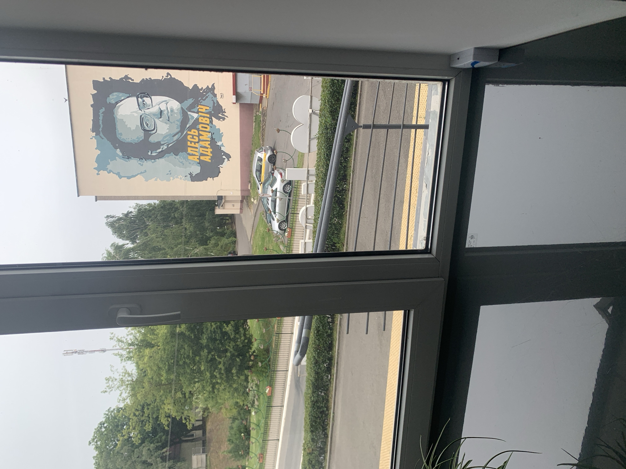 The image shows a view through a window onto a city street. In the background, on the side of a building, is a large mural of a man wearing glasses. The text below the man's portrait reads "АЛЕСЬ АДАМОВИЧ". Several cars are parked on the street, and there is a row of trees and bushes. The window frame is visible in the foreground, and a plant is reflected on the polished surface below the window. The weather appears to be overcast. The specific location is a building in Kapyĺ, Belarus.