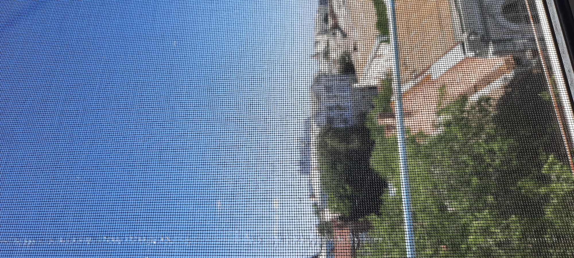 The image shows a view through a window screen on a clear day. The sky is a bright blue, with a faint haze near the horizon. Below the sky, a dense canopy of green trees is visible, interspersed with the rooftops of buildings. The buildings appear to be a mix of residential and commercial structures, with some having terracotta-colored roofs. The overall scene depicts a suburban or urban landscape in Astrakhan, Russia. There are no people or animals visible in the image. The focus is on the urban environment and the clear sky.