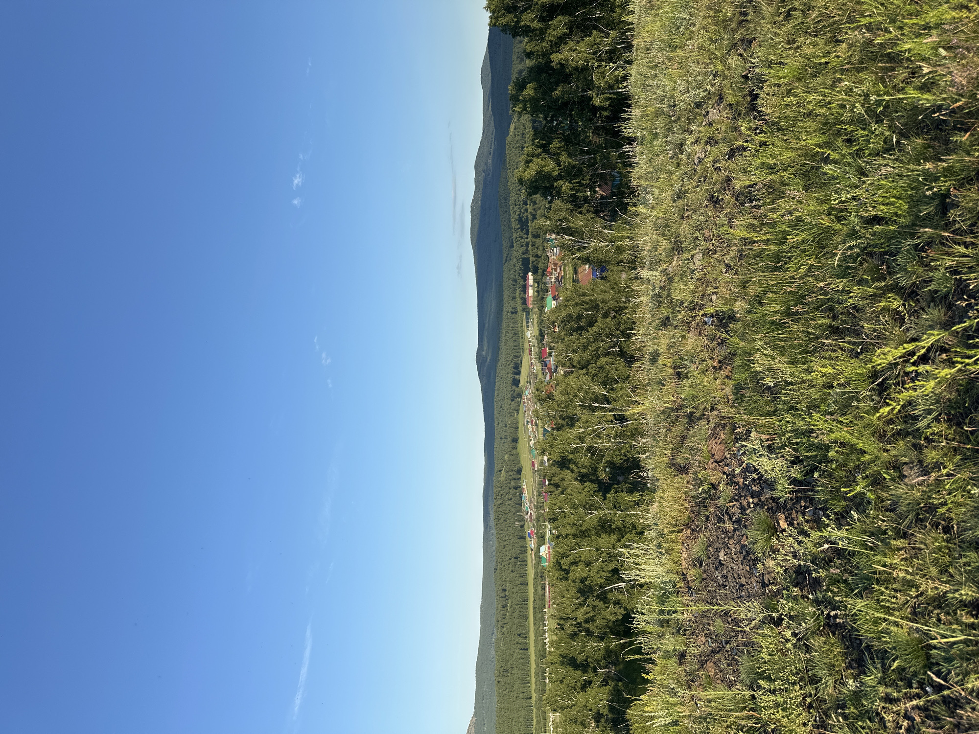 This media file is a vertical photograph of a rural landscape on a clear, sunny day. The foreground is dominated by a grassy slope, showing patches of dry earth and rocks interspersed with green vegetation. Beyond the slope, a line of trees forms a dense forest that stretches towards a distant mountain range. Nestled within the trees, a small village with colorful buildings is visible. The sky is a bright, clear blue with a few wispy clouds. The lighting suggests it is late morning or early afternoon. The scene conveys a sense of tranquility and natural beauty. No people, objects, text, or specific events are clearly identifiable in the image.