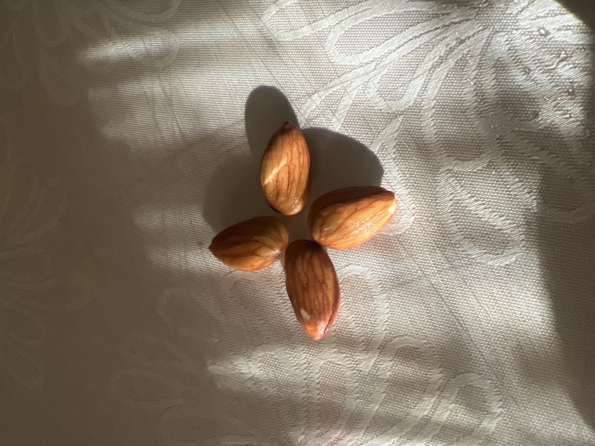 Four almonds are arranged in a cross shape on a white, textured fabric. The fabric has a subtle pattern and is illuminated by dappled sunlight, creating shadows. The almonds are light brown with a slightly glossy surface. There are no people or signs of activity present. The scene appears to be indoors. The location in Treŝiha, Russia is not determinable from the image.