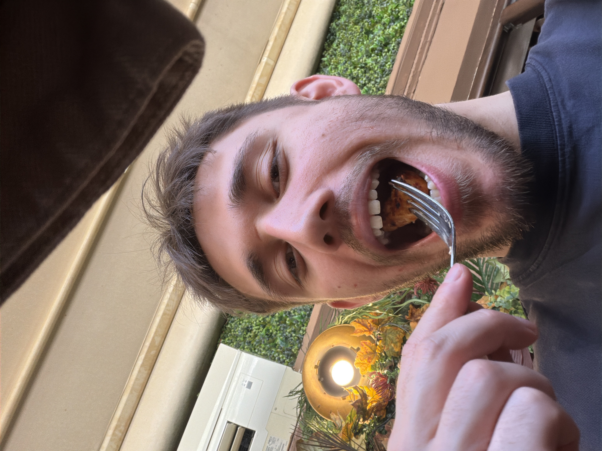 A man with brown hair and a beard is holding a fork with food and putting it in his mouth. The background includes greenery, a light fixture, and what appears to be an outdoor seating area. There is an object that is white that looks like an air conditioner. The location appears to be in an outdoor eating area in an Unknown city.