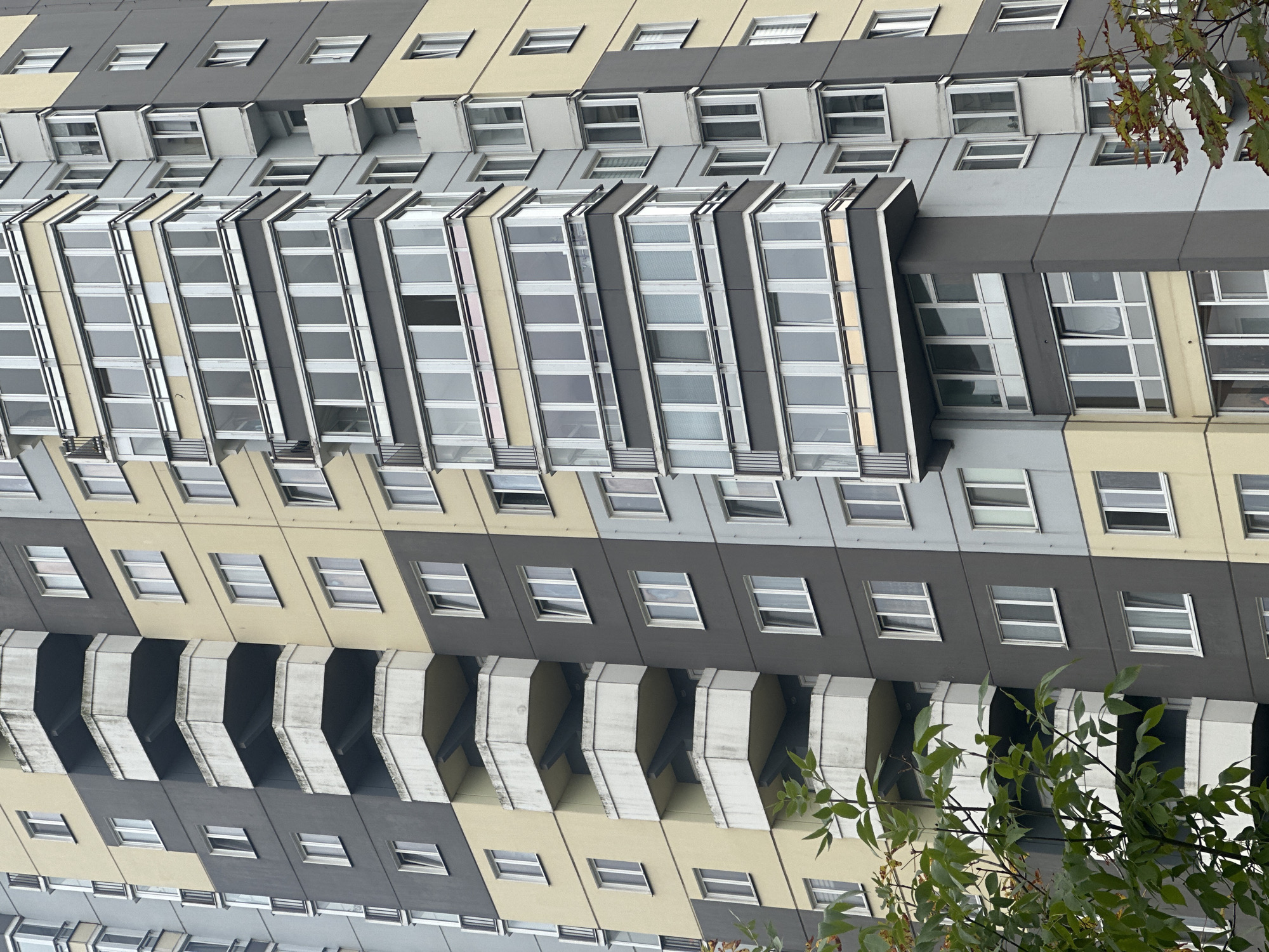 The image shows a close-up, eye-level view of a multi-story apartment building in Minsk, Belarus. The building features a facade with alternating sections of light yellow, dark gray, and light gray panels. Numerous windows, most with white frames, are visible across the different colored sections. Several balconies, some enclosed with glass and others open with white railings, jut out from the building. A green tree with dark branches and leaves partially obscures the lower left portion of the building. The sky is overcast, suggesting a cloudy day. There are no people or any discernible activity depicted in the image.