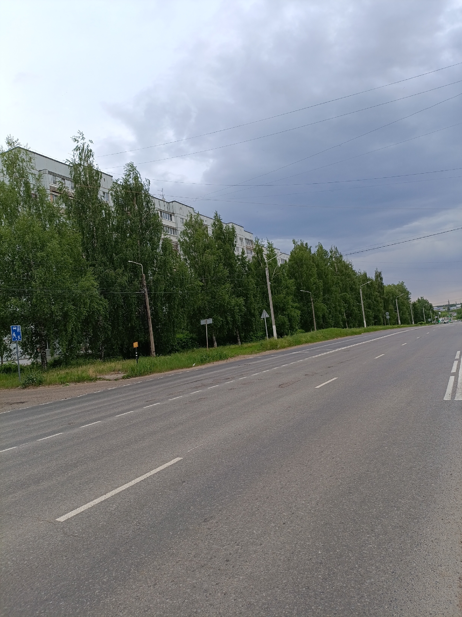 The image shows a street in Chaikovsky, Russia. A gray, multi-story building is set back from the road behind a row of green trees. There are streetlights lining the road. The sky is overcast with dark clouds. The road is asphalt and has white lane markings. The image appears to be taken during the day. There is no visible traffic or people on the road. There are signposts visible on the side of the road.