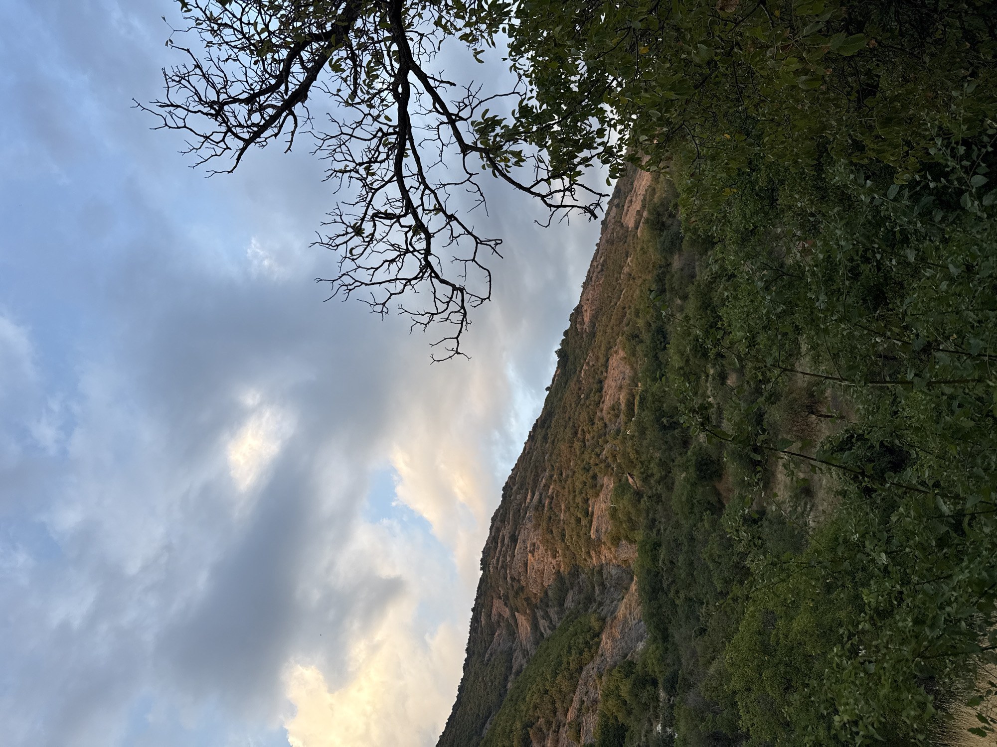The image depicts a mountainous landscape in Sopot, Bulgaria, under a cloudy sky. In the foreground, dense green foliage and trees dominate the lower portion of the frame, with some dry grasses visible on the left. The mid-ground features a steep, tree-covered mountainside. The upper part of the mountain is a mix of rocky terrain and sparse vegetation, bathed in the warm glow of sunlight filtering through the clouds. The sky above is a dramatic mix of dark, heavy clouds and patches of lighter, illuminated sky. A bare, silhouetted tree branch extends into the frame from the right, contrasting with the lush greenery below and the rugged mountain face. The overall atmosphere suggests an early evening or late afternoon setting. There are no people or visible signs of human activity other than a small structure barely visible on the mountainside.