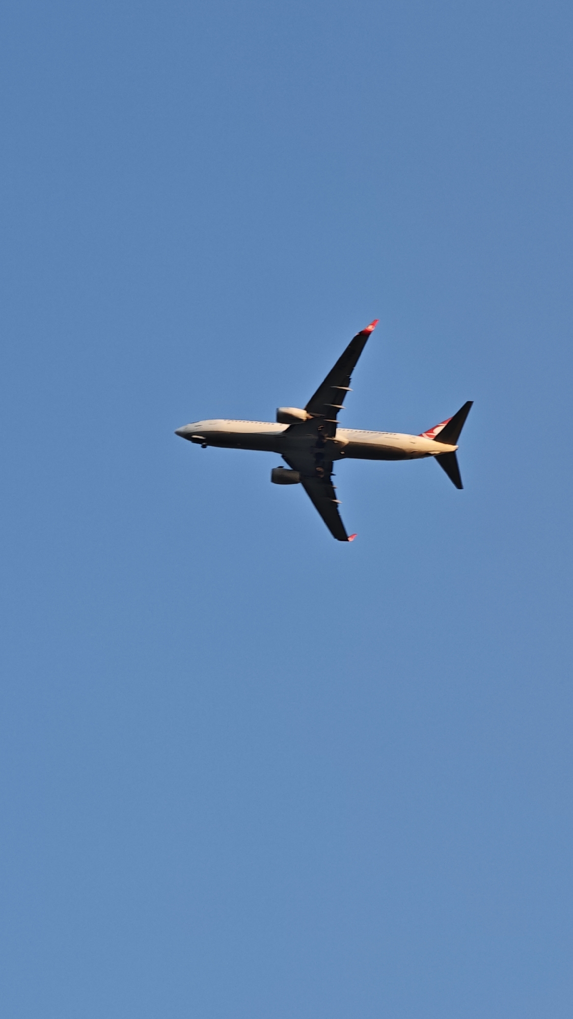 An underside view of a commercial airplane, likely a Boeing 737, is captured against a clear blue sky. The aircraft is in mid-flight, with its landing gear extended. The sun is illuminating the underside of the plane, highlighting its white fuselage and wings. The wingtips are adorned with red markings, and a similar red detail is visible on the tail fin. The image is devoid of any discernible urban or geographical landmarks, making it impossible to determine its specific location within Sofia, Bulgaria or any other city. There are no people or other objects visible in the scene, only the airplane and the sky.