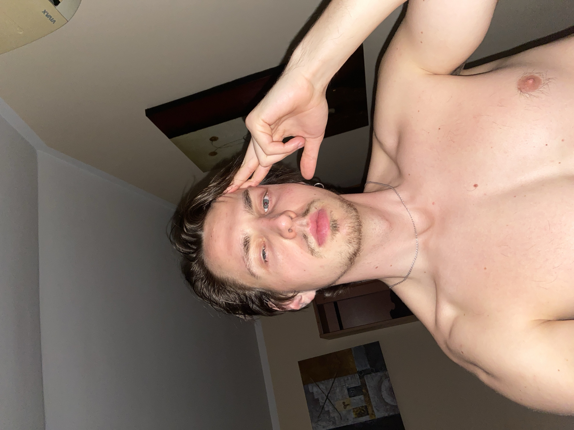 A close-up, tilted selfie of a shirtless young man with light skin, brown hair, and a short beard. He is looking at the camera with a neutral expression, and his left hand is raised near his forehead. He is wearing a silver chain around his neck. The background includes a ceiling with a light fixture, a picture frame, and a painting on the wall. The environment appears to be indoors, possibly a bedroom or living room. There is no information available to confirm that the location is in the city of Šušanj, Montenegro.