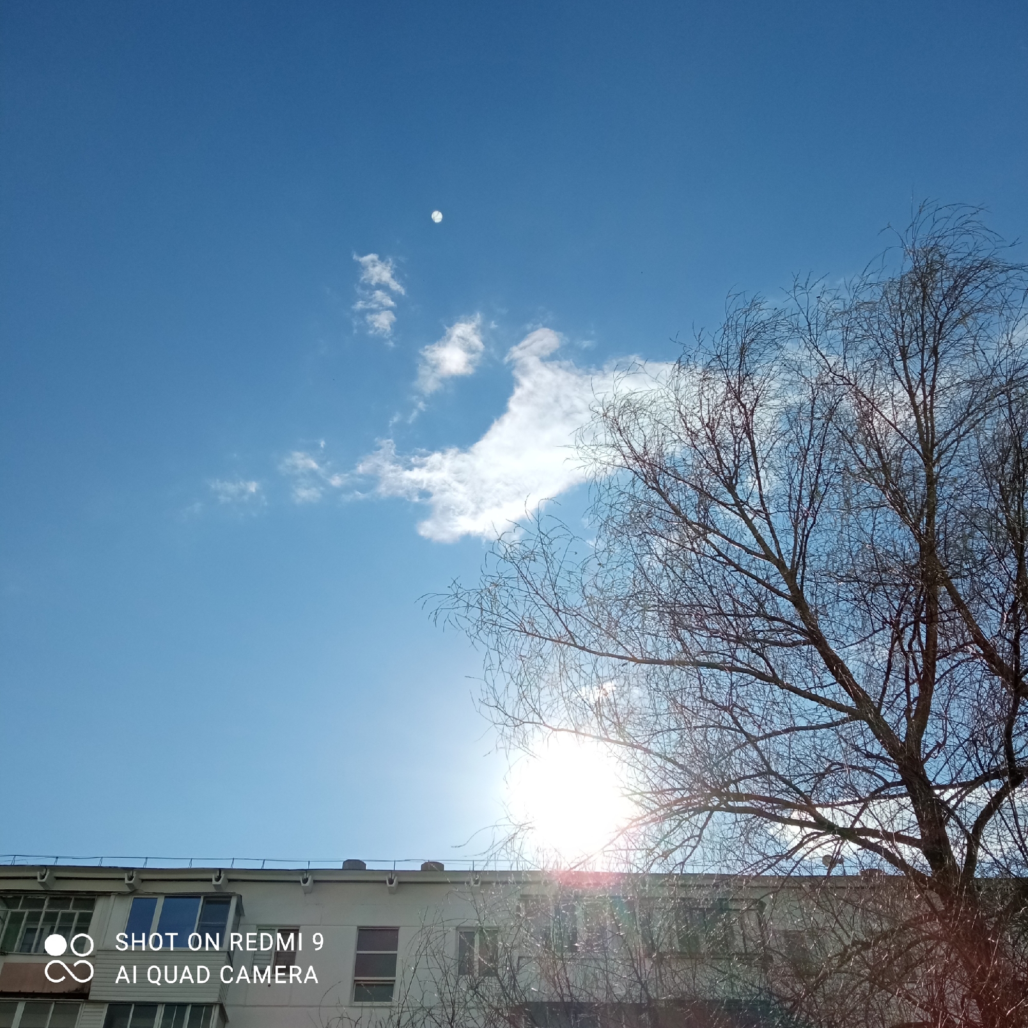 The image captures a bright daytime scene in Chaikovsky, Russia, likely during winter or early spring due to the leafless tree. The sky is a prominent feature, displaying a vibrant blue with scattered white, wispy clouds. A distinct crescent moon is visible in the upper left quadrant of the sky, coexisting with the sun. The sun itself shines intensely from the lower right portion of the frame, partially obscured by tree branches and producing a strong glare and lens flare.
A large, bare deciduous tree with a dense network of dark, intricate branches dominates the right side of the image, extending into the upper and lower sections. Behind the tree, along the bottom edge, the upper part of a light-colored, multi-story building is visible. The building has a flat roof with visible drainage elements and numerous windows, some of which appear to be enclosed balconies. The overall atmosphere is clear and sunny.
In the bottom left corner of the image, a watermark is present, stating: "SHOT ON REDMI 9" and "AI QUAD CAMERA".
