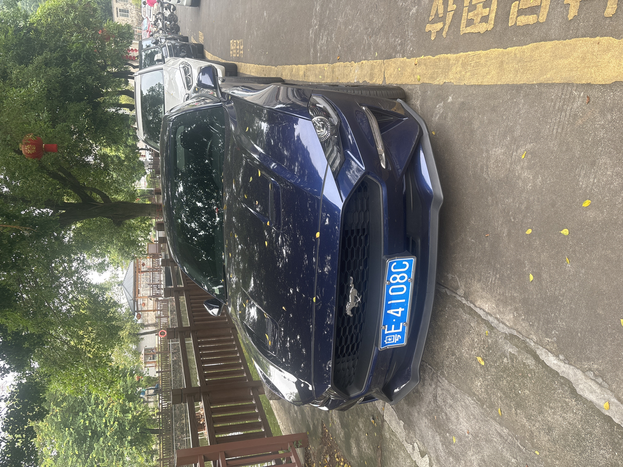 A dark blue Ford Mustang is parked on a concrete surface next to a yellow painted line. The car's license plate reads "粵E·4108C". Behind the Mustang, other vehicles are visible, including a white SUV. The setting appears to be outdoors, with trees and foliage overhead, casting shadows on the cars. In the background, there is a wooden fence bordering a body of water and a traditional Chinese-style gazebo structure. Red lanterns are hanging from the trees. The scene is located in Nanhai District, China.