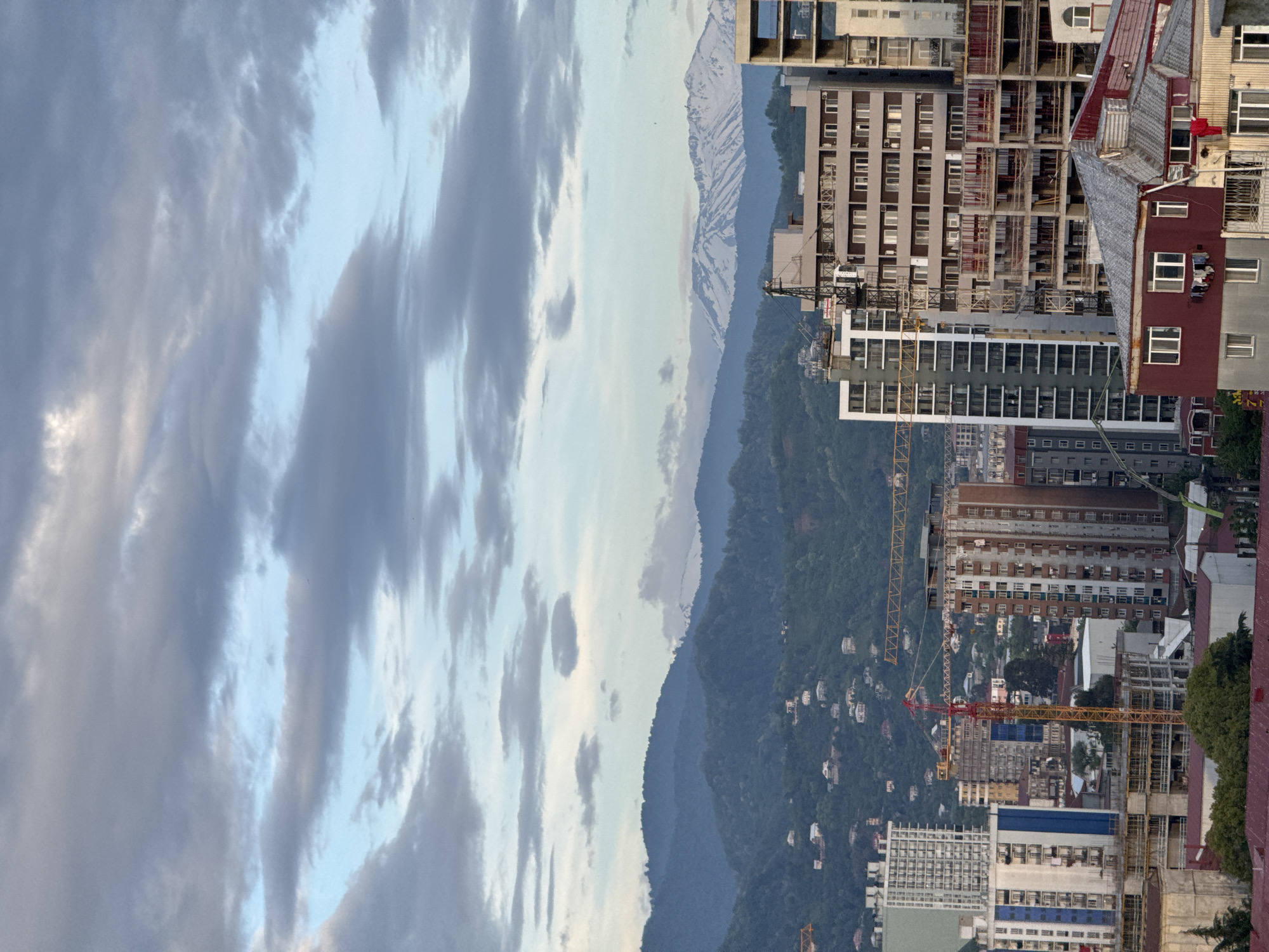 The image shows a view of the city of Batumi, Georgia, oriented vertically. The foreground features several tall buildings, some under construction, with yellow cranes visible. The backdrop consists of tree-covered mountains fading into the distance, topped with what appear to be snow-covered peaks. A cloudy sky occupies the left side of the frame. Small houses are sparsely scattered among the trees on the mountainside. The image suggests an urban landscape bordering a mountainous region.