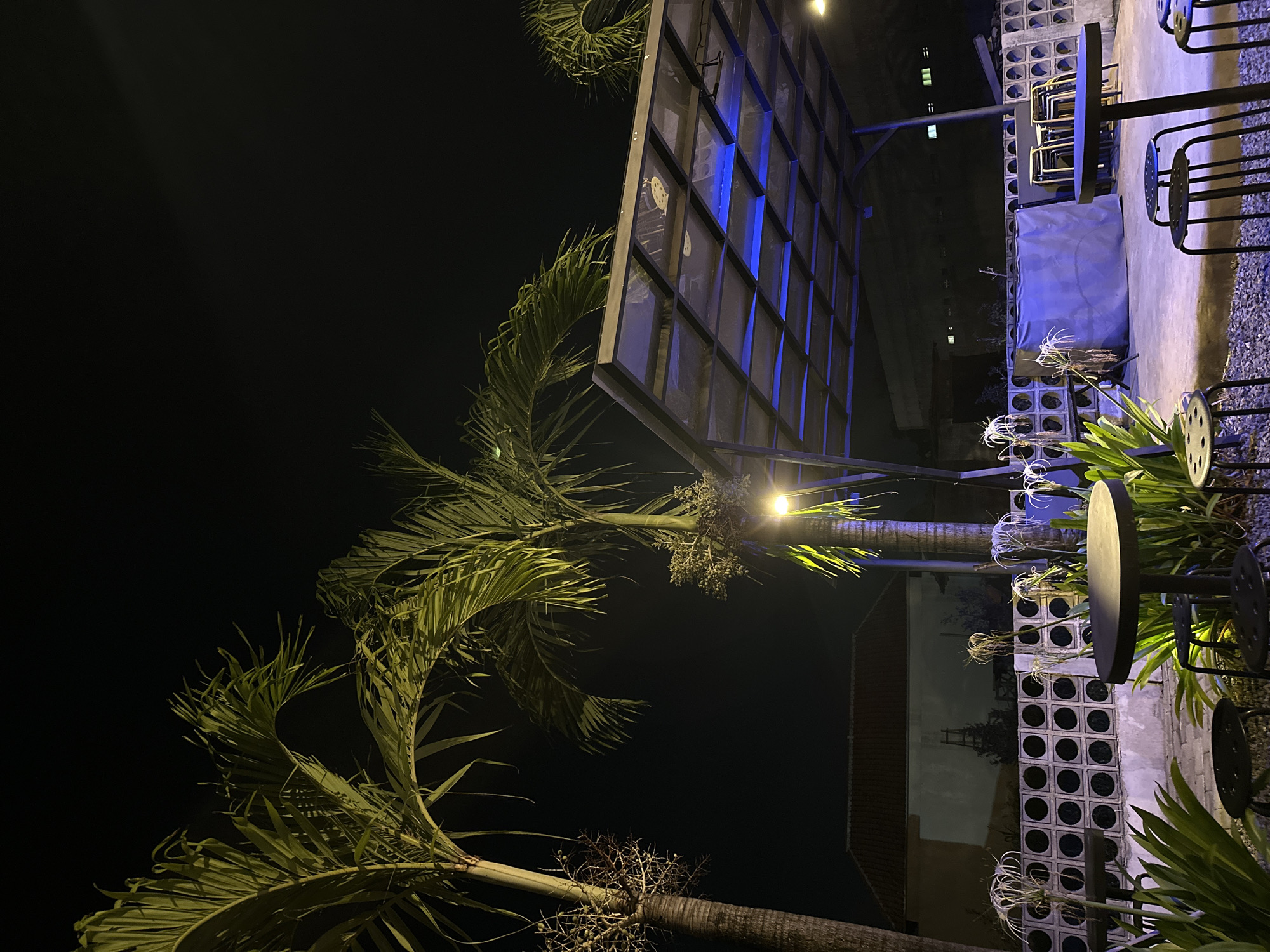 The image captures an outdoor setting at night, likely a cafe or restaurant, tilted to present a dynamic view. A large, prominent palm tree with lush green fronds dominates the left side of the frame, its foliage brightly illuminated by warm light against the deep black night sky. Clusters of green fruit are visible on the palm.
To the right, an outdoor seating area is arranged with dark metal tables and chairs, some featuring round seats with distinctive circular cutouts. The ground in this area is a mix of concrete and gravel. A tall, rectangular structure resembling a large sign or part of a building facade runs across the upper mid-ground. This structure is composed of numerous square panels, several of which emit a cool blue light, creating a strong visual contrast with the dark surroundings.
Below this structure, a low decorative wall made of concrete blocks with circular openings acts as a boundary or planter. Delicate white, spider-like flowers are visible growing in front of this wall and in other planters throughout the seating area, adding an organic touch to the urban-tropical ambiance. Additional green foliage and plants are scattered around the scene.
The entire scene is illuminated by artificial lights, casting highlights and shadows that emphasize textures and shapes. The atmosphere is quiet and still, with no people or activity explicitly visible. The tropical vegetation and open-air design cues align with the given location context of North Kuta, Indonesia. The time of day is clearly night, with no visible text in the frame.