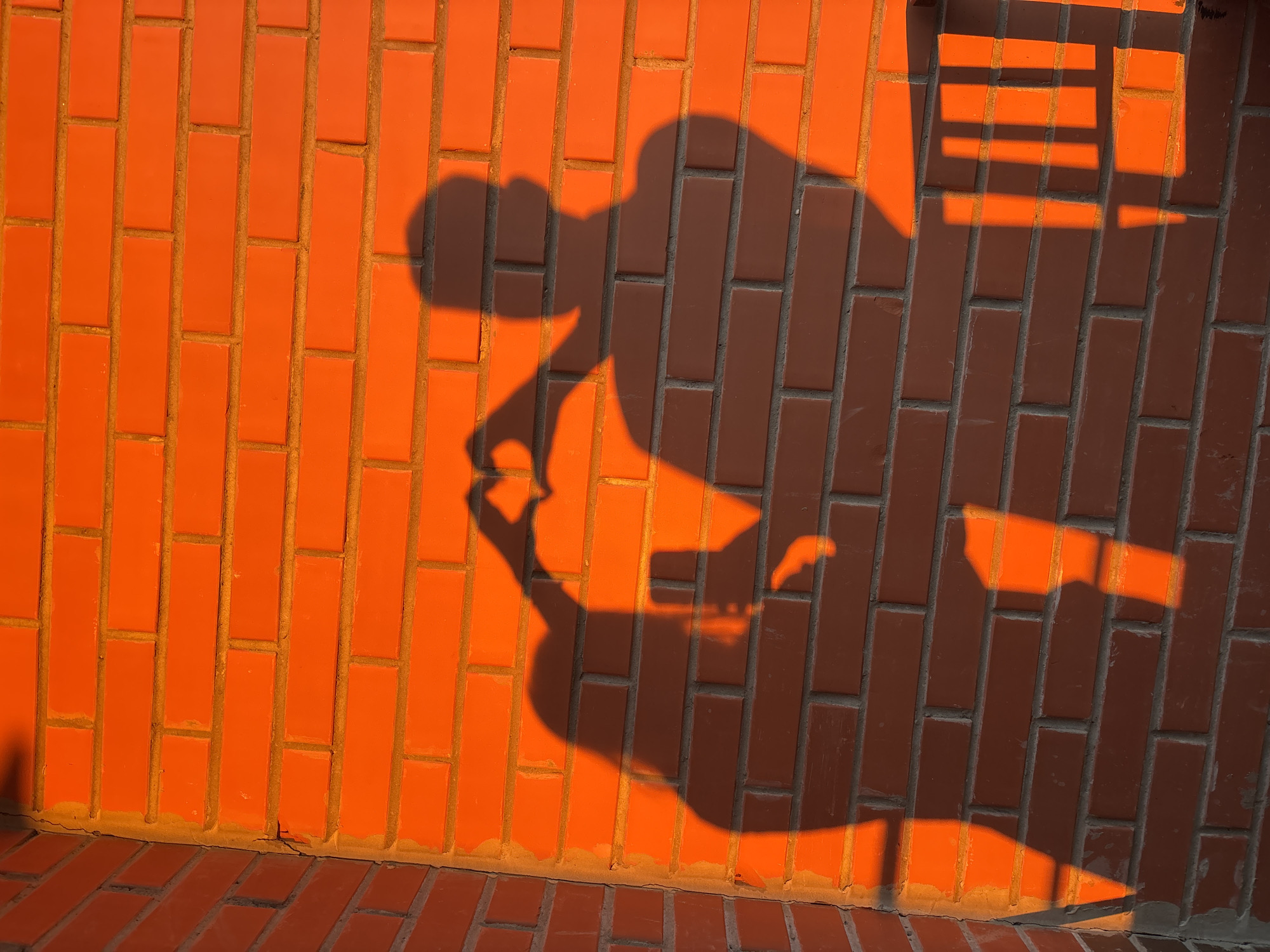The image captures a vibrant scene dominated by strong shadows cast upon a brick wall, illuminated by warm, low-angle light. The wall is constructed from reddish-orange rectangular bricks arranged in a stretcher bond pattern, with visible mortar lines.
The most prominent feature is a large, dark shadow of a person, occupying the central and left portions of the frame. This human-like silhouette shows a distinct head, body, and an arm that appears to be raised or extended, possibly holding an object or making a gesture that vaguely resembles holding a teapot or kettle. To the right of the person's shadow, another, more geometric shadow is cast, depicting a rectangular shape with several horizontal bars, suggesting the presence of a fence, grille, or window frame nearby.
The golden-orange hue of the light illuminating the wall, contrasted with the deep, long shadows, strongly indicates that the photograph was taken during either sunrise or sunset. This "golden hour" lighting creates a high-contrast and atmospheric effect. The ground at the bottom of the image is also made of similar bricks, providing a consistent texture to the setting.
The location is unspecified beyond "Unknown, Russia," and no unique architectural features or text are visible to provide further contextual clues. The overall impression is one of calm and dramatic natural light highlighting urban or suburban textures.