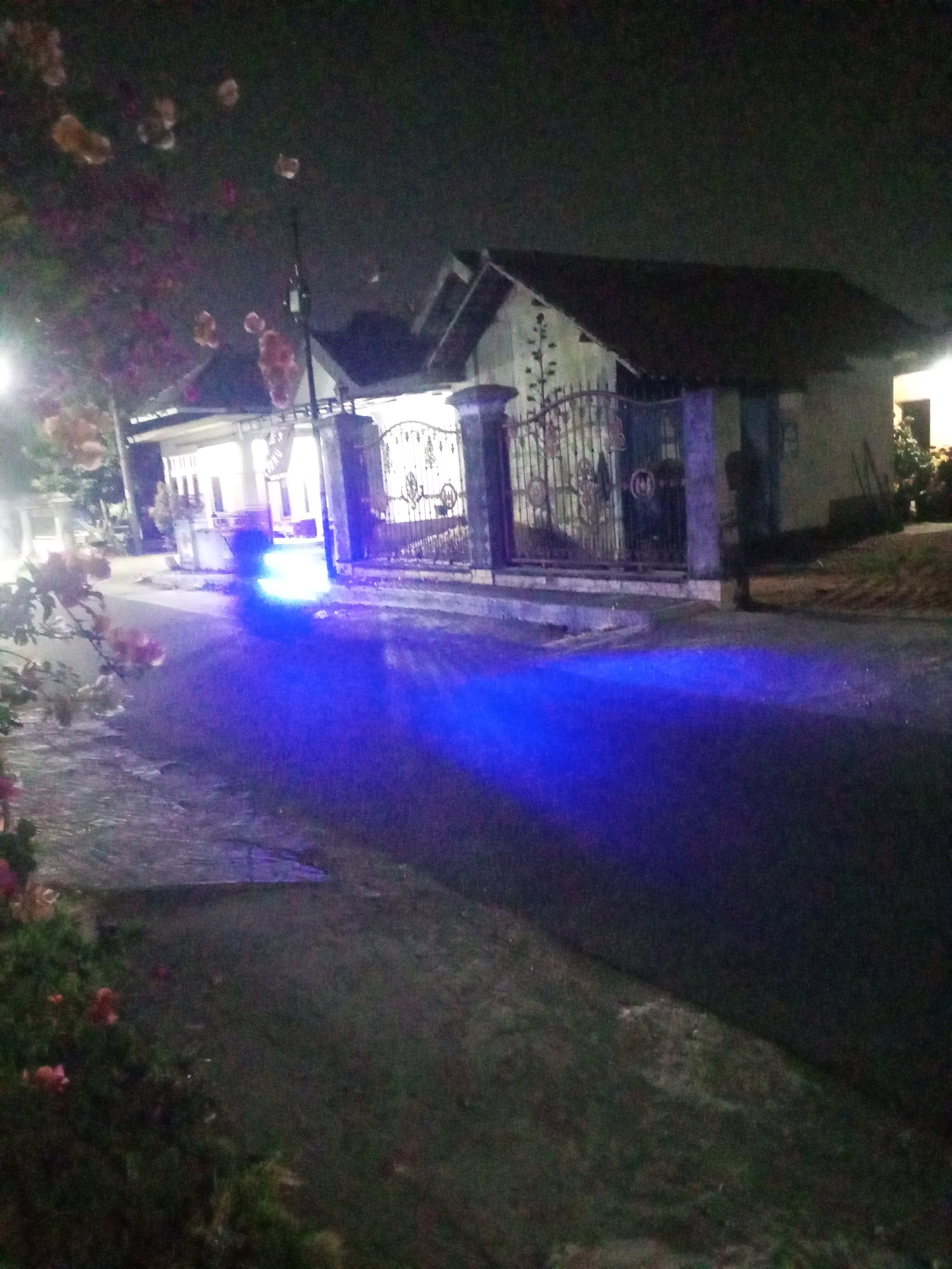 The image depicts a street scene at night in Ngasem, Indonesia, illuminated by the headlights of an unseen vehicle. The bright blue light from the vehicle's headlights casts a strong glow across the asphalt road and the adjacent sidewalk. In the background, a house with a dark roof and white walls is visible, protected by an ornate metal gate. To the left of the house, there are flowering plants with pink and orange blossoms, adding a touch of color to the otherwise dark night. The overall impression is that of a quiet residential area at night, with the vehicle's lights being the dominant source of illumination.
