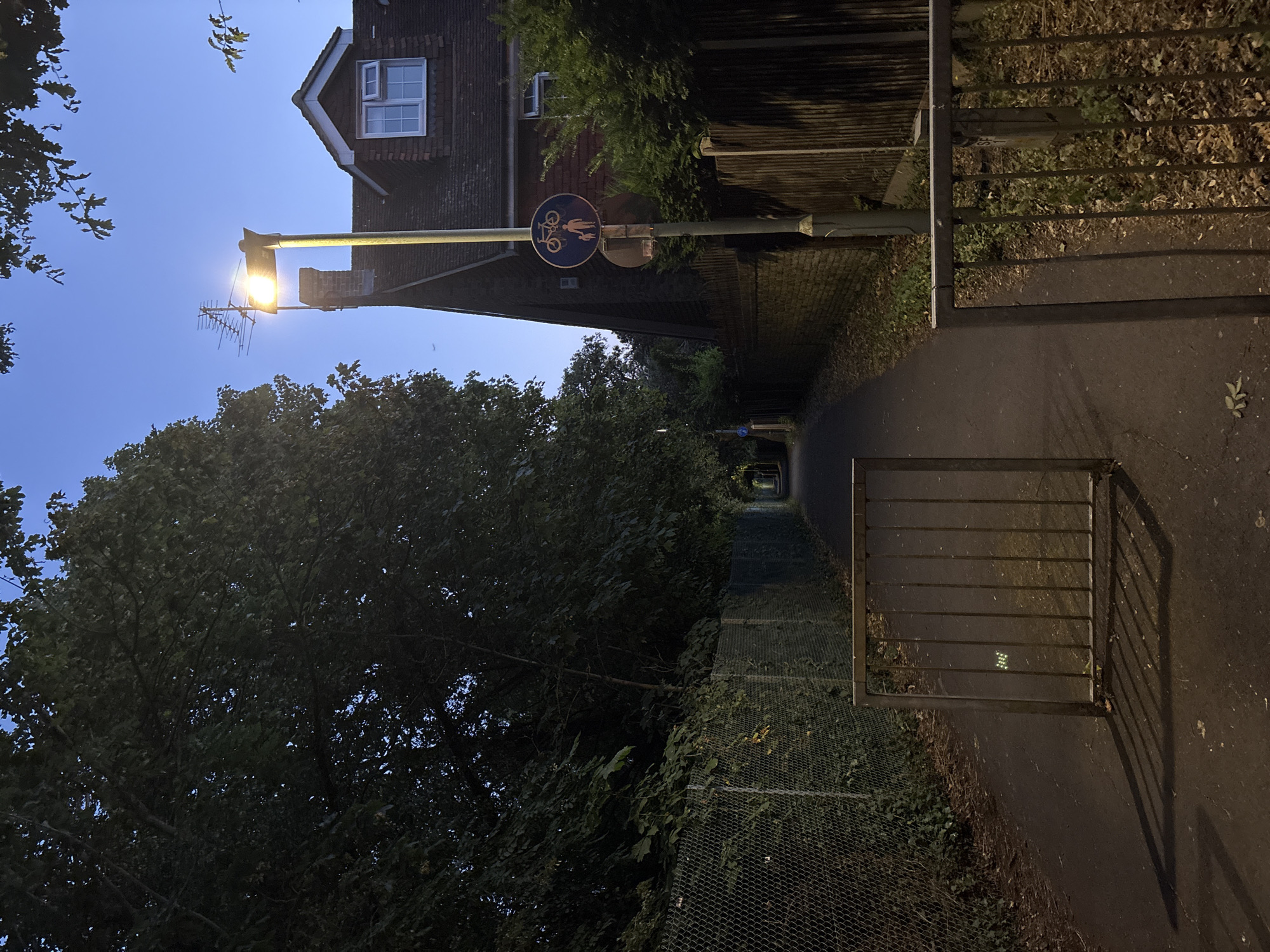 The image depicts a path through a residential area, possibly in Chelmsford, United Kingdom, at dusk. A tall street lamp illuminates the scene, casting long shadows from a metal gate in the foreground. The path is bordered by a chain-link fence on the left, overgrown with ivy, and a wooden fence on the right, with a house visible behind it. A sign on the street lamp indicates a shared path for cyclists and pedestrians. The sky is a deep blue, and trees overhang the path, their leaves silhouetted against the fading light. The overall impression is one of a quiet, suburban evening.