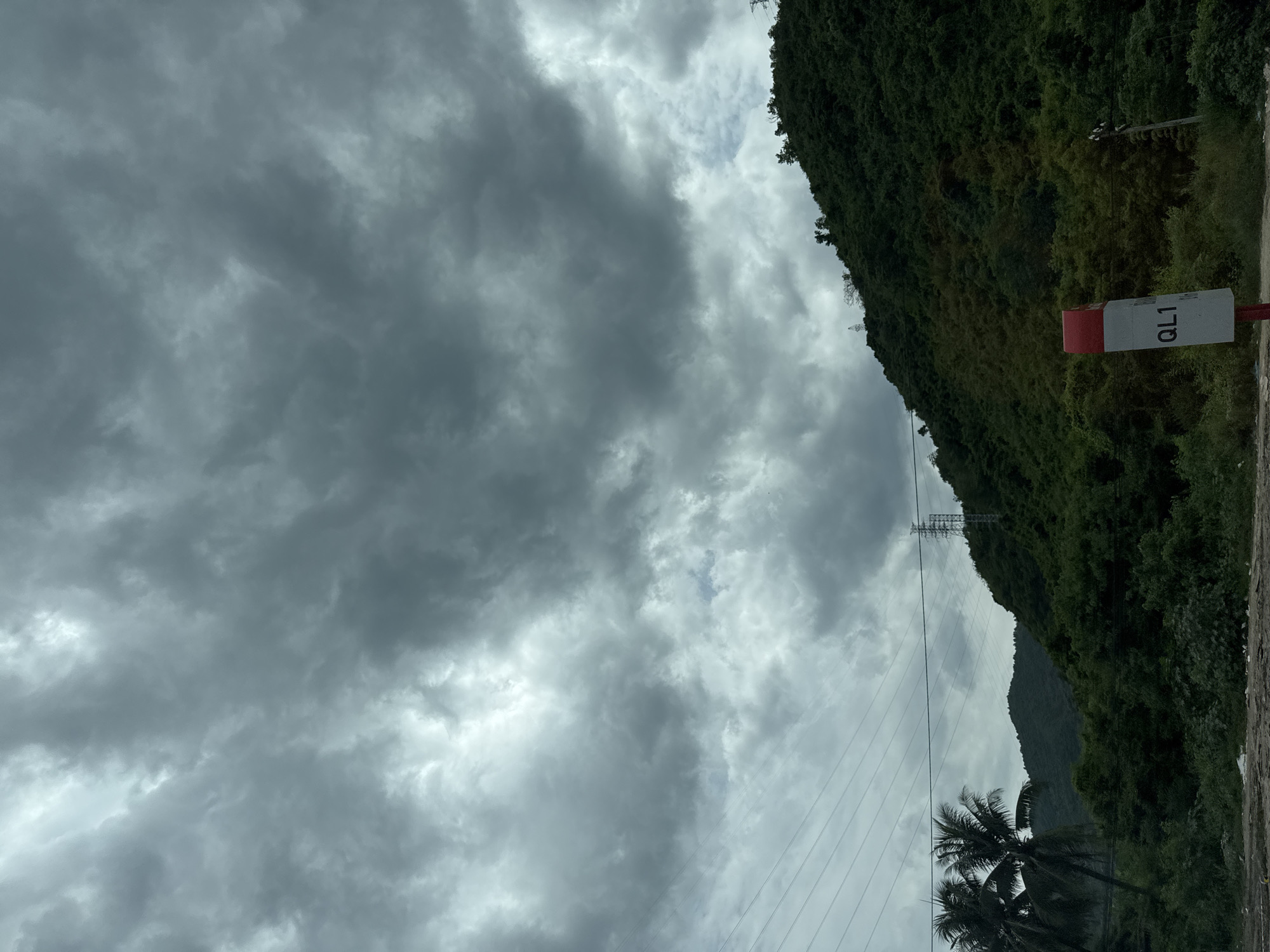 A road marker labeled "QL1" stands in the foreground to the right. Behind the marker, a steep, densely forested hill rises, its green foliage casting shadows under a heavily overcast sky. The sky is filled with dark, textured clouds that obscure the sun. In the middle ground, power lines stretch across the frame, supported by metal towers. To the left, two palm trees are visible against the cloudy sky. The environment appears to be rural or a less developed area on the outskirts of Vĩnh Lương, Vietnam, suggesting a natural landscape with infrastructure.