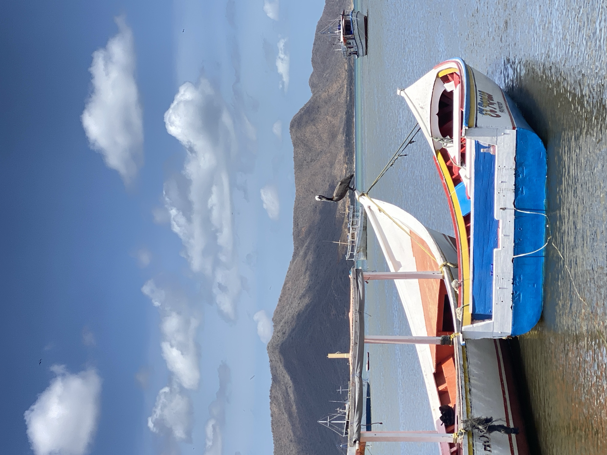 The image presents a bright, daytime scene of boats moored in the city of Juan Griego, Venezuela. A colorful fishing boat with a blue stern and white hull dominates the foreground. Its vibrant paint contrasts against the clear blue water it floats in. A pelican is perched on one of the boat's masts, adding a touch of wildlife to the scene. In the background, a range of mountains stands out against the sky, which is scattered with puffy white clouds. Another boat is visible in the distance behind the mountains.