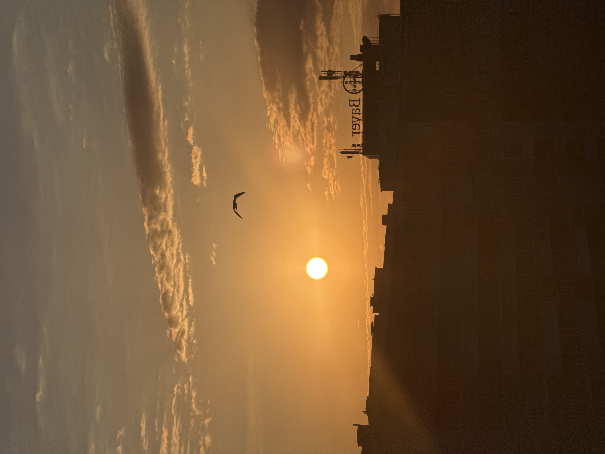 The image captures a sunset over the city of Dobrich, Bulgaria. The sun, a bright orange orb, is low on the horizon, casting a warm, golden glow across the sky. Wispy clouds are scattered throughout, some tinged with the vibrant hues of the setting sun. In the foreground, the silhouettes of buildings are visible against the bright sky, obscuring most of their architectural details. A single bird is in flight, soaring across the frame. On top of one of the buildings, a prominent sign displays the word "Bayer" in reverse, indicating it is likely viewed from the front. Antennae and other rooftop structures are also present on the buildings. The overall scene depicts a tranquil urban landscape at dusk, with the natural beauty of the sunset dominating the view.