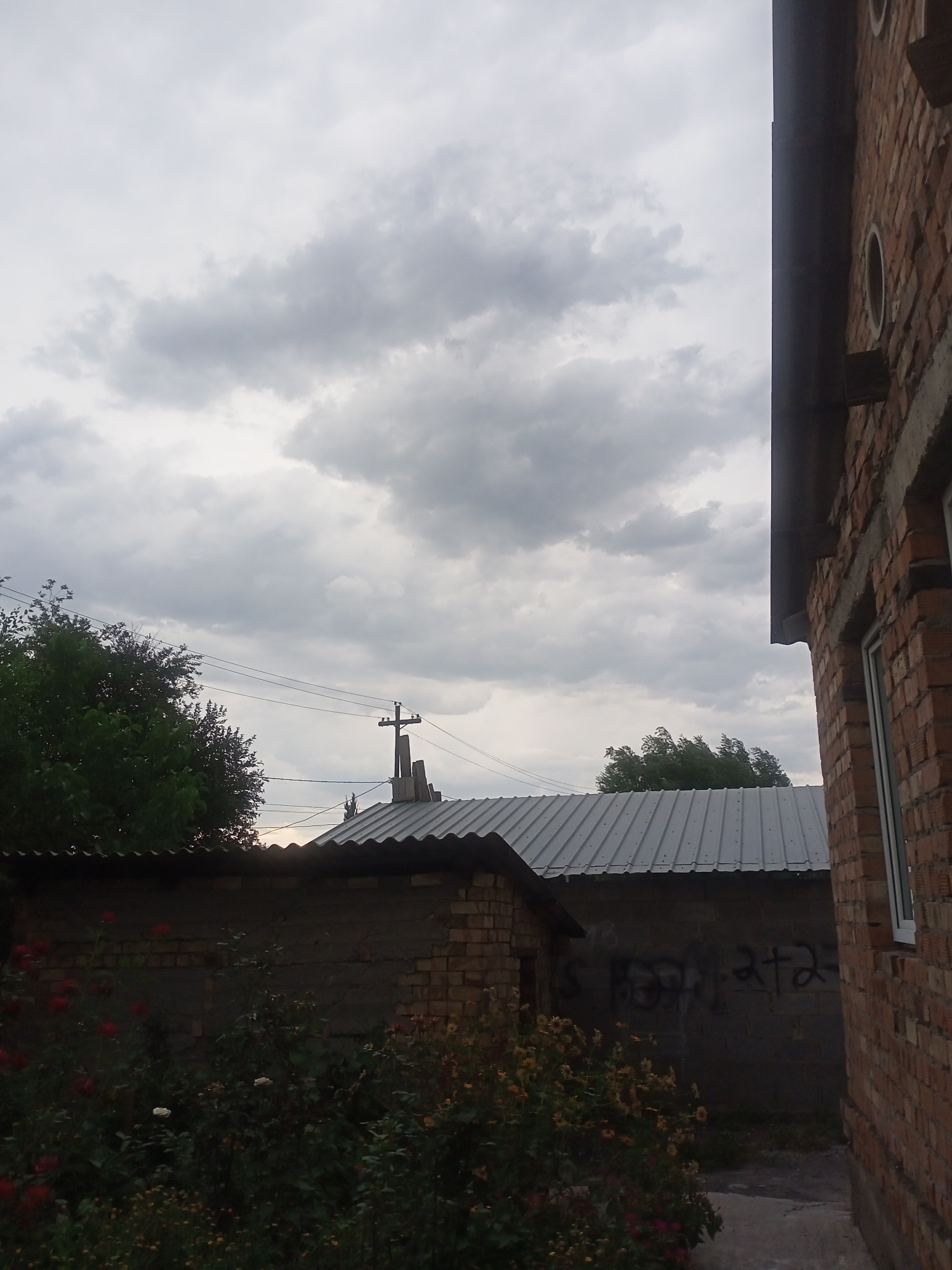 The image depicts an overcast sky over a yard in Sokuluk, Kyrgyzstan. In the foreground, on the left, are various flowering bushes and plants, with red and pink roses visible. A low, dark-colored fence or wall runs along the bottom edge of the frame. Behind the plants, a section of a brick building with a corrugated metal roof is visible. Further to the right, a larger building with a corrugated metal roof extends across the mid-ground. A brick wall of another building, partially obscured by the corrugated roof, is visible on the far right, featuring a window and a sloping roofline. The sky is filled with grey, diffused clouds. Power lines stretch across the upper portion of the image, supported by a utility pole. The overall scene is one of an outdoor area, possibly a residential yard, under a cloudy sky.