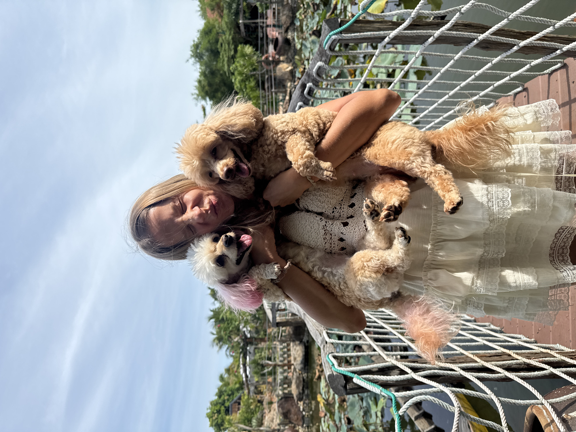 A young woman with blonde hair is holding two small poodle dogs while standing on a wooden bridge. The dog on the left is white with pink-dyed ears, and the dog on the right is light brown. The woman is wearing a white lace dress and is making a playful face. The bridge has rope railings and is over a body of water with lily pads. In the background, there are trees and some structures, suggesting an outdoor, possibly resort-like setting. The sky is blue with some clouds. This scene is likely located in Mũi Né, Vietnam, a coastal resort town known for its beaches and sand dunes.