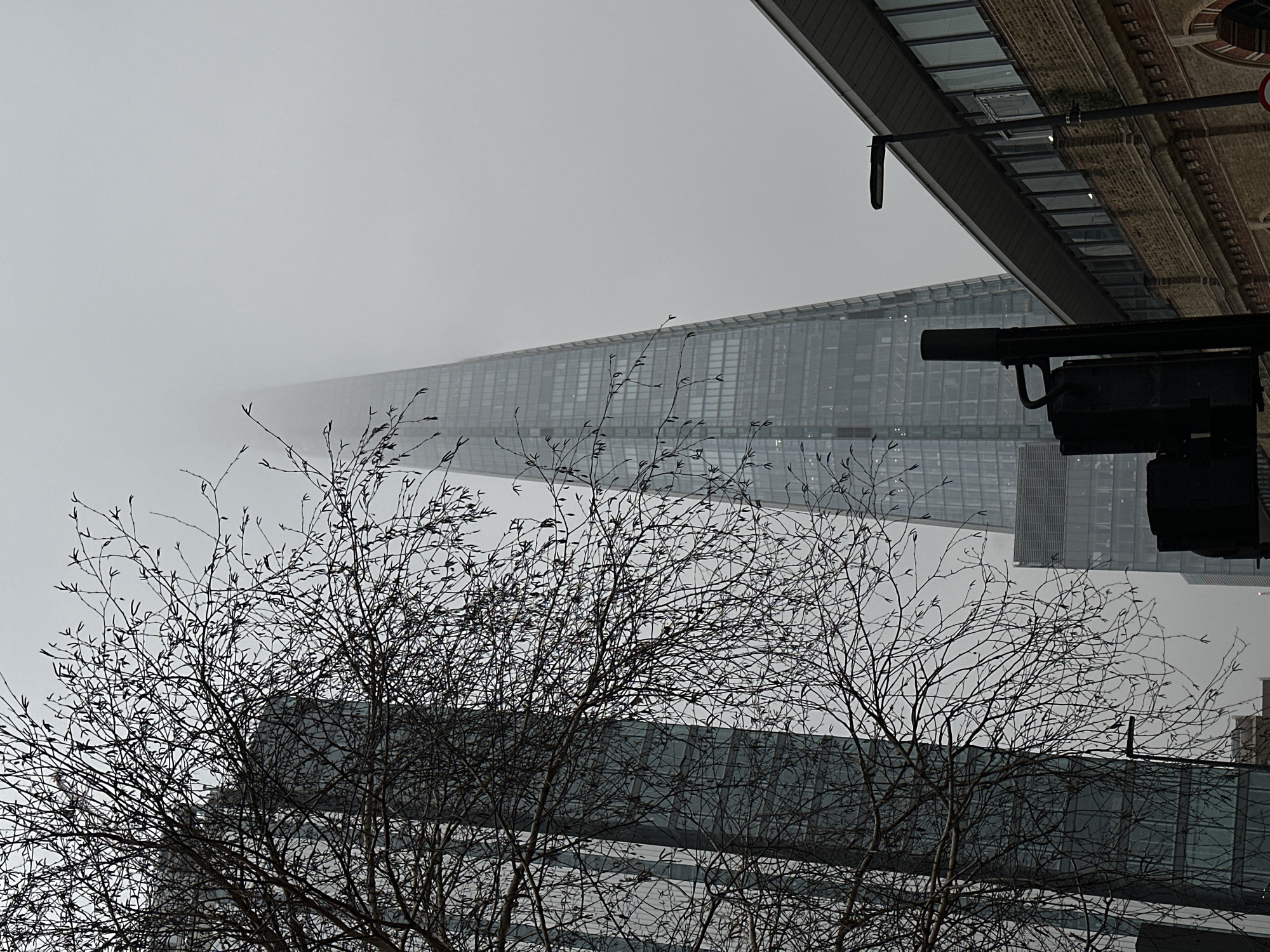 The image depicts an urban scene in London, United Kingdom, specifically within the London Bridge Quarter, Southwark, dominated by The Shard on an overcast and foggy day. The central subject is The Shard, a multi-faceted glass skyscraper, its upper section obscured by dense, low-hanging fog. To the left, a tall, dark-toned glass-fronted building is partially visible. In the foreground, a deciduous tree with numerous bare, thin branches and small, dark buds occupies the left and central portion of the frame. To the right, a brick-built structure, possibly part of London Bridge Station or a nearby market, features multiple arched windows on its lower level and a row of rectangular windows beneath a modern, extended flat roof. Urban infrastructure includes a dark traffic light pole with a signal box in the lower-center foreground and a black streetlamp post to the right, extending above the brick building. The scene is devoid of visible individuals or active interactions.
