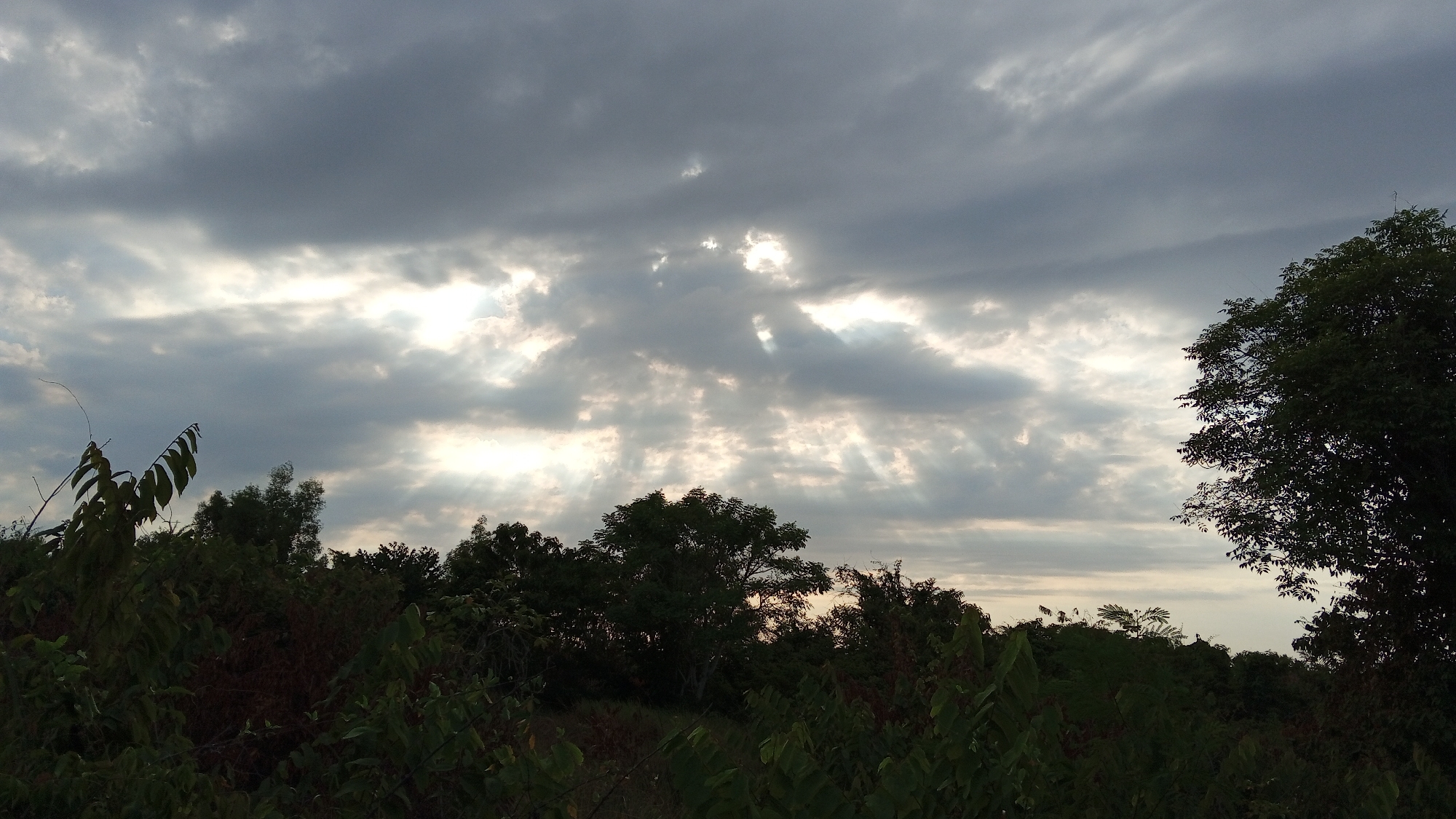The image depicts a cloudy sky over a dense canopy of trees in Blangtingkeum, Indonesia. Sunbeams pierce through breaks in the thick, gray clouds, creating streaks of light that illuminate the foliage below. The trees, silhouetted against the brighter sky, form a dark, lush barrier across the lower half of the frame. The vegetation appears varied, with some trees taller than others, and smaller plants and leaves visible in the foreground. The overall atmosphere is dramatic, with the interplay of light and shadow creating a sense of depth and natural beauty.