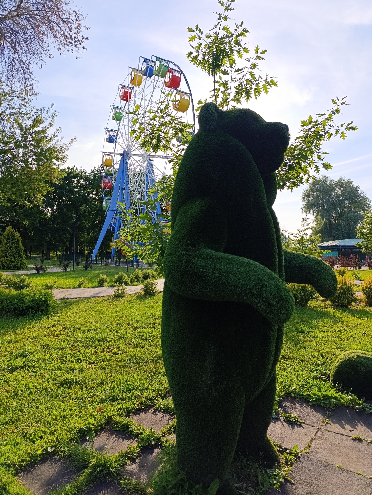 In Novokuybyshevsk, Russia, a park setting bathed in bright sunlight features a large, dark green, topiary bear sculpture in the foreground, posed as if standing with its back to the viewer. Behind the bear, a Ferris wheel with colorful gondolas—red, yellow, and blue—is a prominent feature of the park. Lush green grass covers the ground, interspersed with paved pathways. Scattered trees with vibrant green foliage and a bright blue sky with sparse clouds complete the scene. To the right of the bear, a smaller, spherical topiary adds to the park's decorative elements. In the background, beyond the Ferris wheel and trees, a covered pavilion and park benches suggest a recreational area. The overall atmosphere is one of a pleasant, sunny day in a well-maintained public park, likely during warmer months given the full foliage.