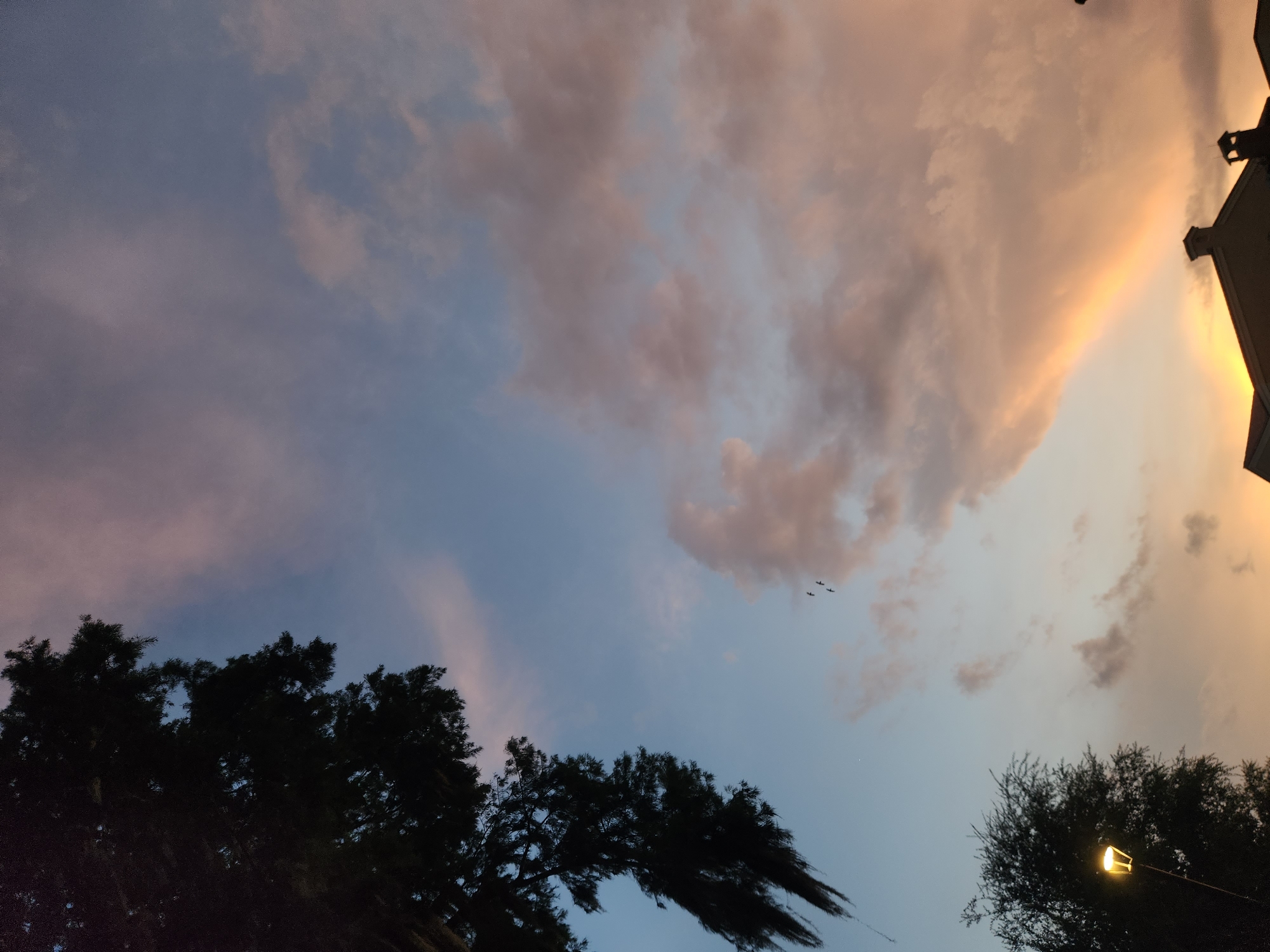 This is a vertical, low-angle shot of a sunset over the city of Winter Park, Florida, USA. The sky is a gradient of pale blue near the top, transitioning to hues of pink and orange as it approaches the horizon. Wispy clouds are scattered across the sky, some tinged with the colors of the sunset. In the upper left quadrant, the dark silhouette of a large tree dominates the frame, its branches reaching into the sky. In the lower left, a lamppost with a lit bulb illuminates a portion of the foreground, next to another dark tree silhouette. Further down, the rooftops of buildings are visible against the vibrant sunset. Three small, dark birds are in flight in the upper middle of the image, against the pastel-colored sky.