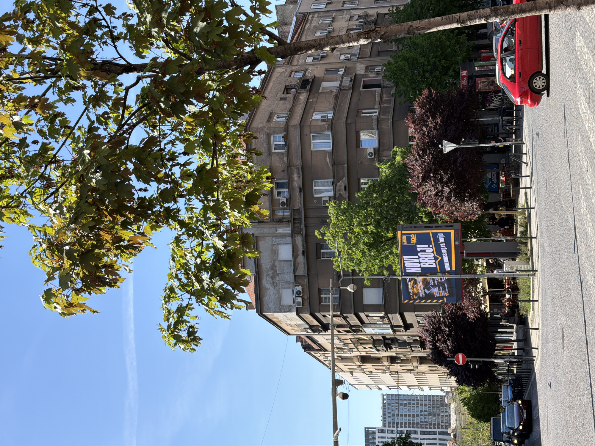 The image depicts a street scene in Belgrade, Serbia. The view is from ground level, looking upwards towards the tops of buildings. A large tree with green and yellow leaves occupies the left side of the frame, partially obscuring the view of the sky. The buildings are primarily concrete structures with multiple windows and air conditioning units. There are various vehicles parked along the street, including a red car. A sign or billboard is visible beside one building. The sky is blue with wispy clouds. The street appears to be paved with rectangular blocks. There are people sitting at tables outside a cafe.