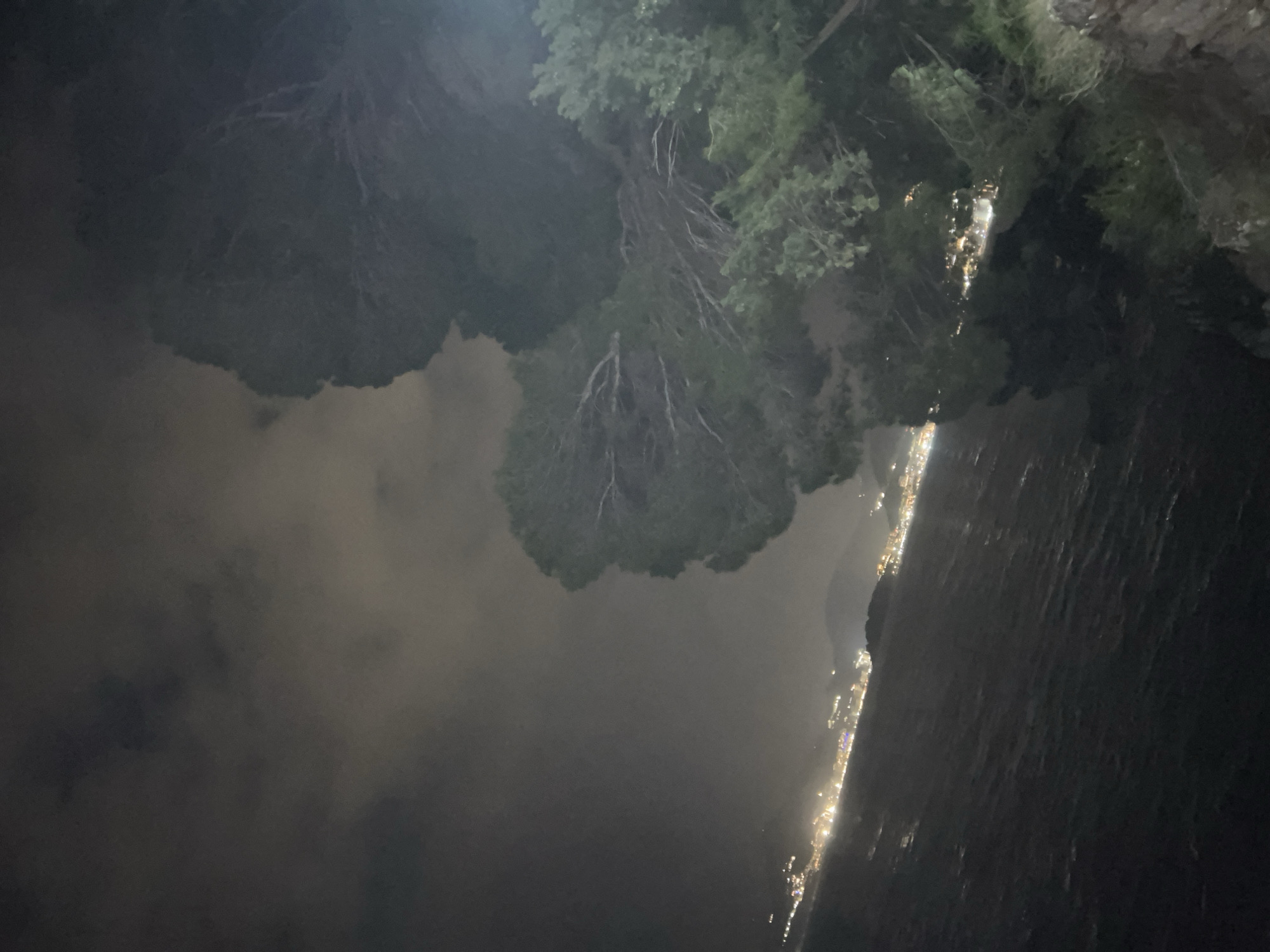 The photograph shows a nighttime view in Rađenovići, Montenegro. A tree overhangs the frame from the top, obscuring much of the scene. Below the tree, a body of water reflects the lights of the coastline, which is visible along the opposite shore. The sky is cloudy.