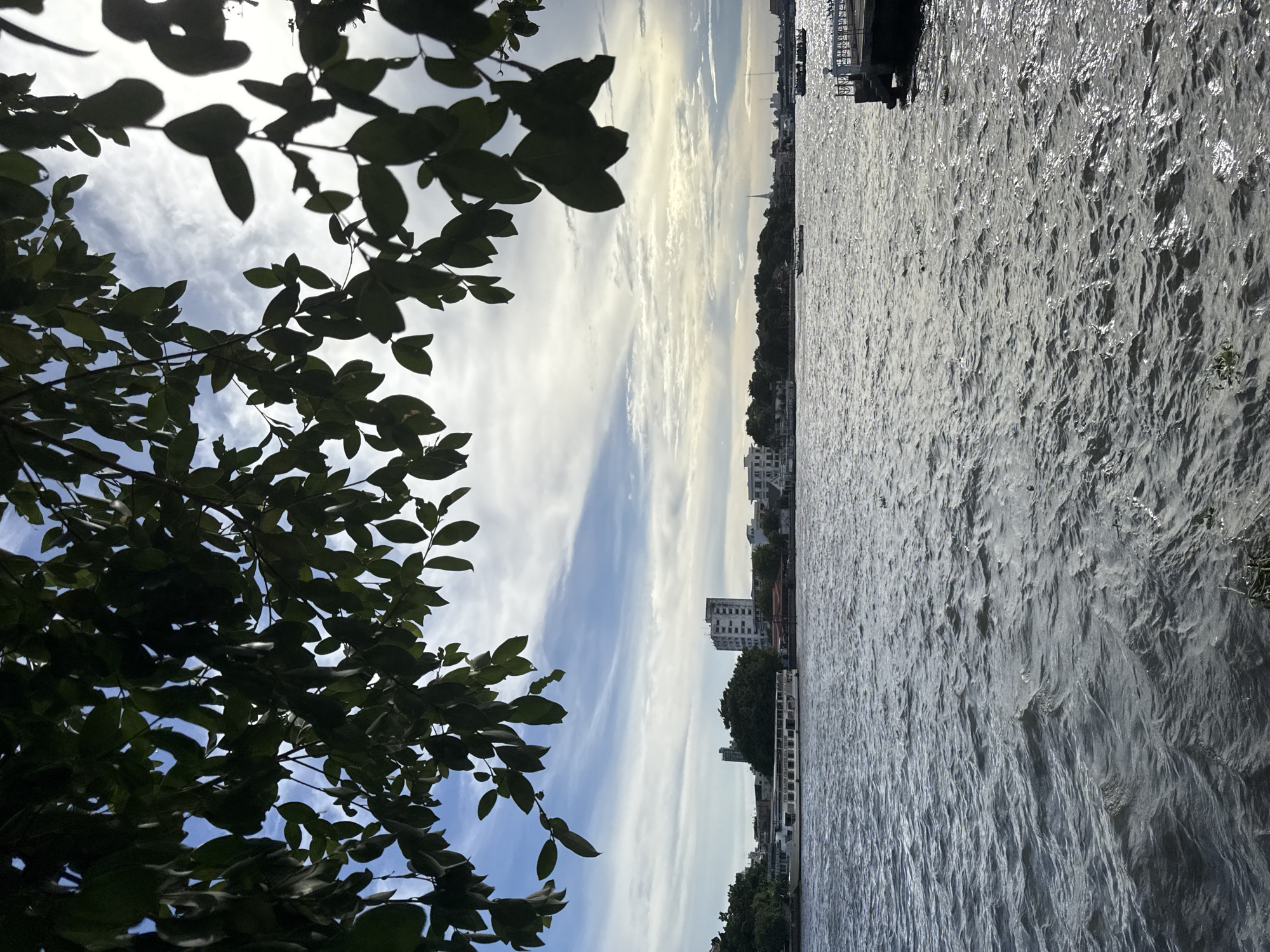 The image depicts a view of the Chao Phraya River in Bangkok, Thailand, with a leafy tree branch in the foreground on the left. On the right, the river's surface is rippled, reflecting sunlight. Across the river, a cityscape is visible with buildings of varying heights and architectural styles, including a tall, white, multi-story structure. The sky is partly cloudy with patches of blue visible between the clouds. In the upper right corner of the image is an over water structure.