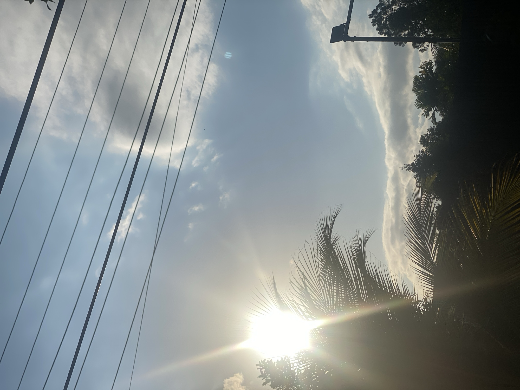 This is a photograph taken from a street-level perspective in Banjarbaru, Indonesia, looking up at the sky. Multiple power lines are stretched horizontally across the upper portion of the frame. The sun is a bright, blown-out orb in the upper left quadrant, casting strong lens flares and rays. Silhouetted against the bright sky are the fronds of palm trees and other foliage, obscuring the ground and much of the lower landscape. In the distance, a lamppost with a dark rectangular fixture on top is visible on the right side of the image, positioned above a line of dark trees and vegetation. The sky itself is a mix of blue and white clouds, with the sun's brilliance washing out some of the detail. There are no people or animals visible in the scene. The overall impression is of a bright, sunny day in a tropical or subtropical urban or semi-urban environment.