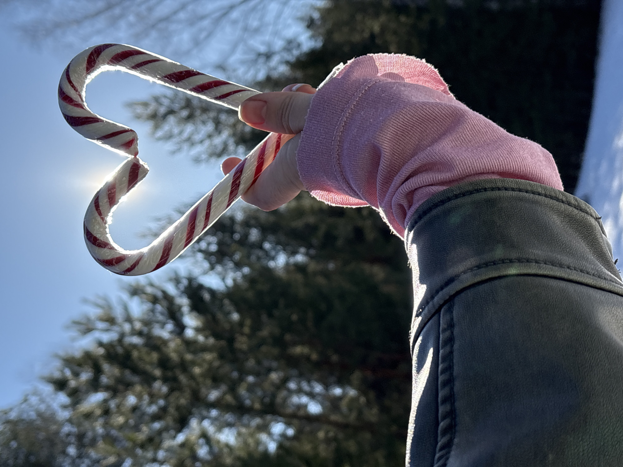 Noviy, Russia: A human hand, positioned in the lower-mid frame, extends upward holding two red and white striped candy canes configured into a heart shape. The individual wears a light pink long-sleeved undergarment and a dark, possibly olive green or black, jacket. The sun is directly behind the candy canes, causing significant backlighting, edge illumination, and a prominent lens flare within the heart's aperture. The background features a clear blue sky above a dense, out-of-focus stand of evergreen trees. A patch of snow is visible on the ground at the bottom of the image. The scene is brightly lit by natural sunlight.
