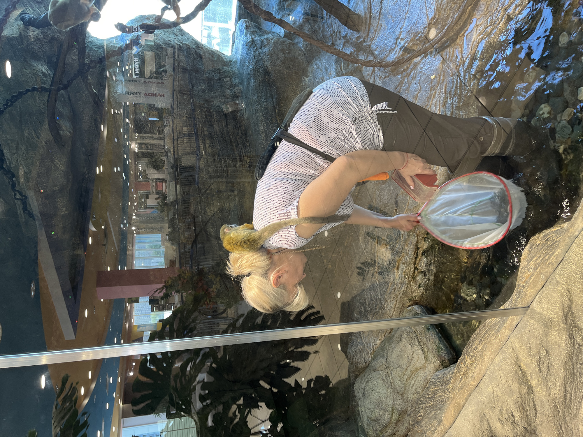 A blonde woman with a monkey on her shoulder is standing in shallow water inside an enclosure. The woman is wearing a white patterned shirt and dark pants, and she is holding a red container and a white net. The monkey is yellow and appears to be a squirrel monkey. The enclosure is designed to look like a natural habitat with rocks and water. In the background, the interior of a building is visible through a glass pane, suggesting the enclosure is part of a zoo or animal exhibition. The building in the background appears to be a commercial space with shops and bright lighting. The image is taken from a slightly elevated angle, looking down at the woman and the enclosure. The location of Lyubertsy, Russia, is not depicted or inferable from the image.