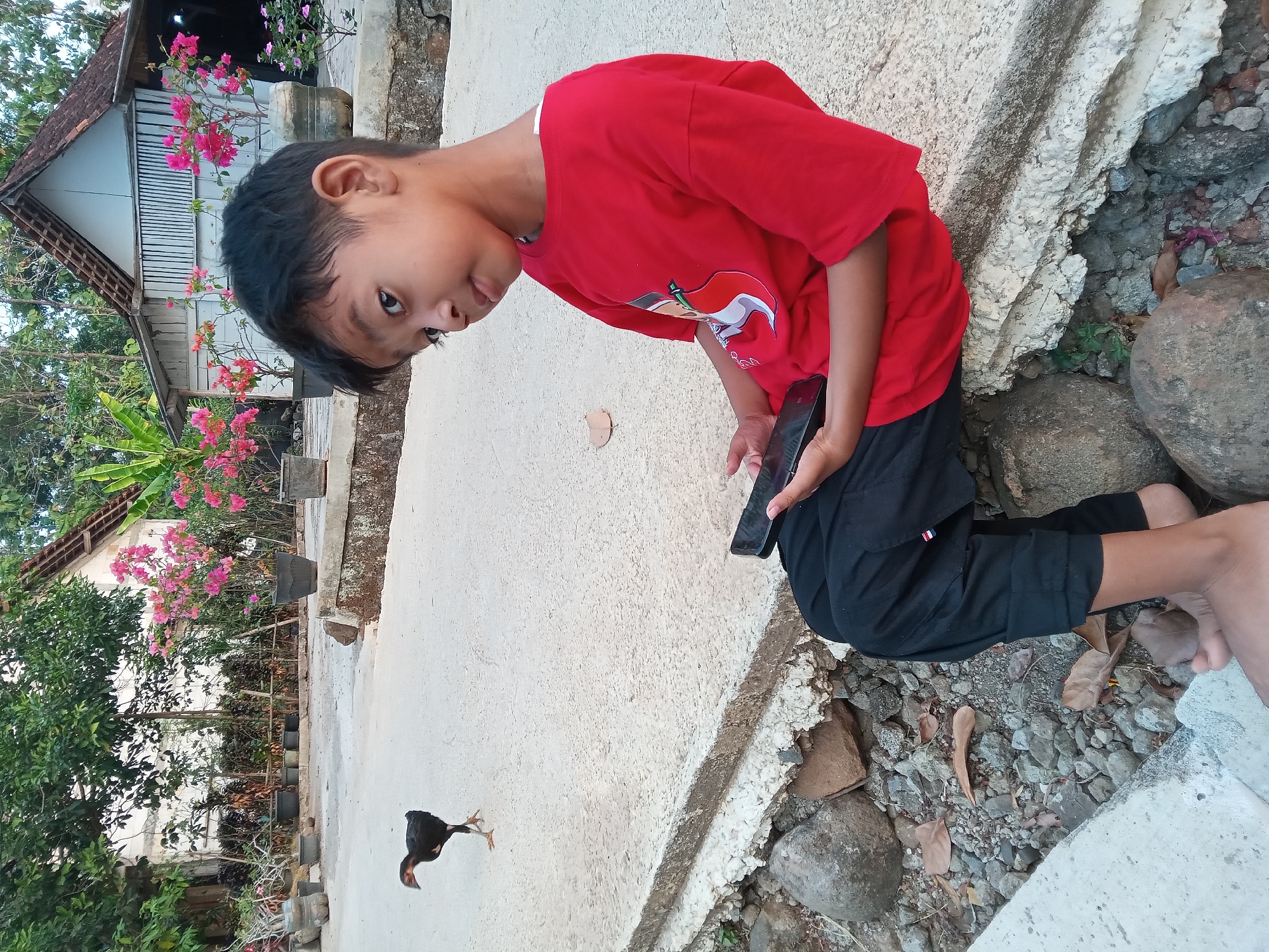 In Kedunggudel, Indonesia, a young boy, appearing to be of Asian ethnicity and around 7-9 years old, is seated on a concrete ledge outdoors. He is wearing a bright red t-shirt with a graphic design and black pants. The boy is holding a black smartphone in his hands and is looking slightly away from the camera, towards the right. To the left of the boy, a small black chicken is walking on a concrete path. The background reveals a rural setting with traditional Indonesian houses and lush greenery, including trees and flowering plants in pots. The ground is a mixture of concrete, rocks, and fallen leaves, suggesting a natural, somewhat untamed environment. The lighting indicates it is likely late afternoon or early morning.
