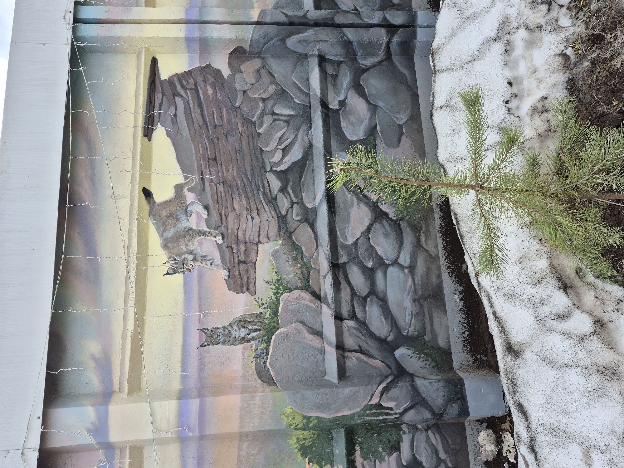 A mural in Chaikovsky, Russia, depicts two lynx cats amidst a rocky, mountainous scene. A live pine sapling obscures part of the mural, along with remnants of snow. The mural itself appears to be painted on a corrugated metal surface. A string of small lights hangs in front of the mural on the left side.