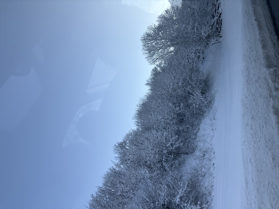 The image displays a winter landscape oriented vertically. The left side is dominated by a clear, light blue sky, featuring distinct reflections of a vehicle's interior, such as a dashboard or window frame, indicating the photo was taken through a window. A dense line of trees and bushes, heavily adorned with pristine white snow and frost, forms a prominent band from the bottom to the top right of the frame. The intricate, snow-covered branches create a delicate natural barrier. To the right of this snowy foliage, a path or road, also covered in snow, extends upwards, with deeper, textured snow along its outer edge. The scene suggests a cold, bright winter day, likely observed during travel through the snowy terrain. This aligns with the provided location context of Séez, France, characteristic of the French Alps in winter. No visible text is present in the scene.