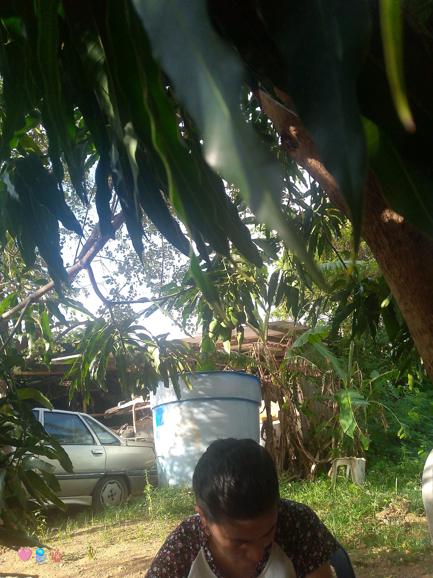 An outdoor scene in Santa Ana, Venezuela, features a light-colored sedan parked on a dirt and grass area, partially obscured by foliage. To the right of the car is a large, blue and white cylindrical tank. In the foreground, a person's head and shoulders are visible, looking downwards. The background consists of dense green vegetation and trees, with sunlight filtering through the leaves. The scene appears to be a residential or semi-rural setting.